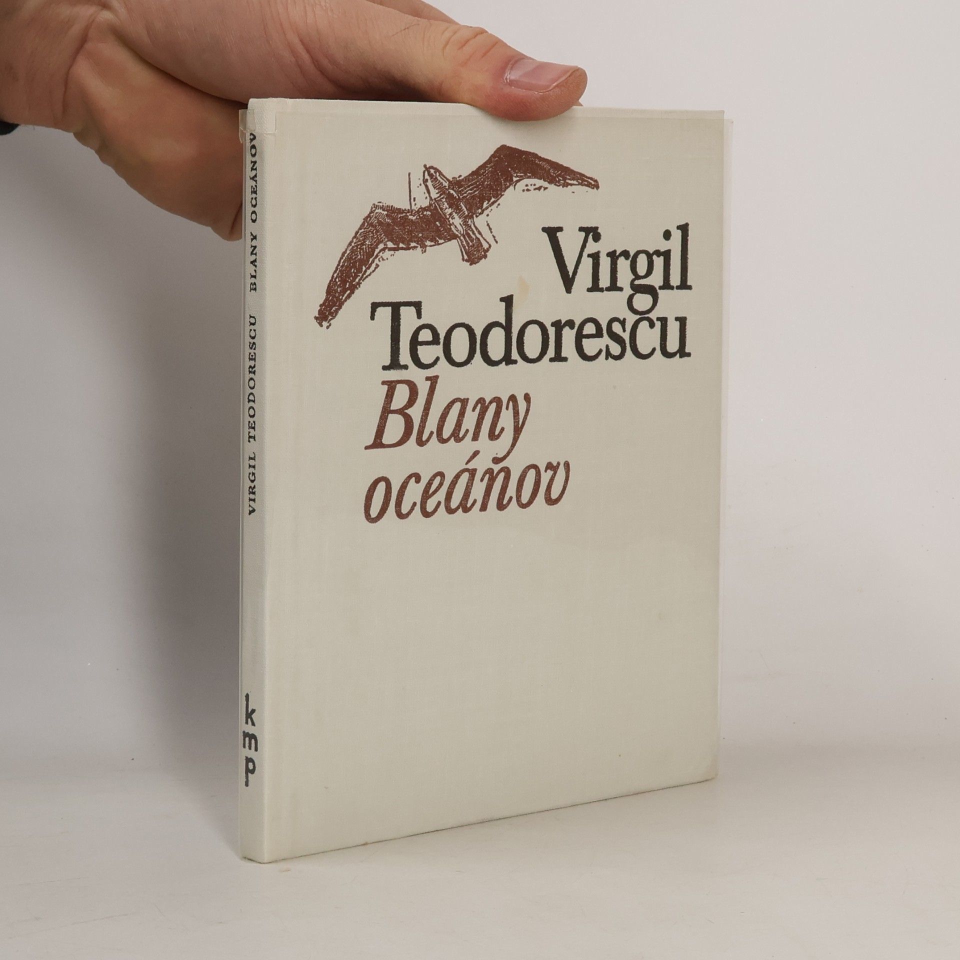 Virgil Teodorescu Blany oceánov