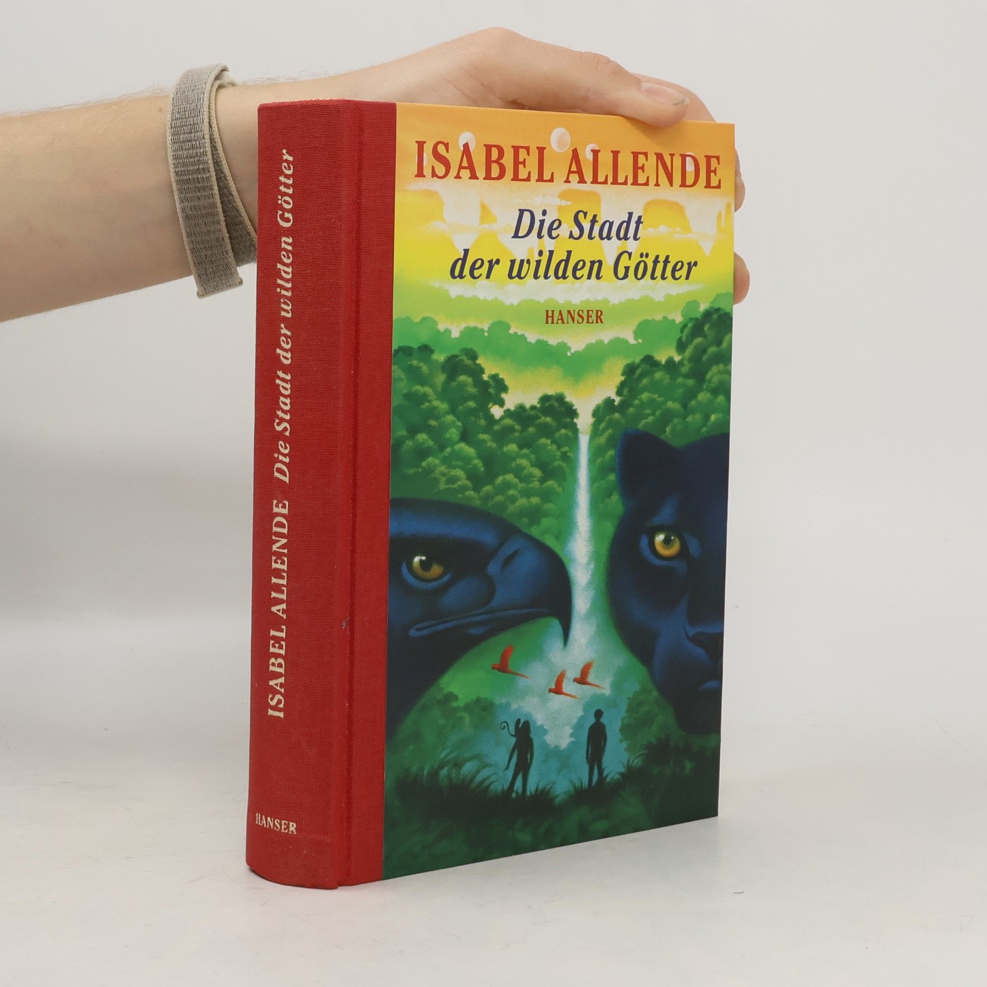 Isabel Allende Die Stadt der wilden Götter