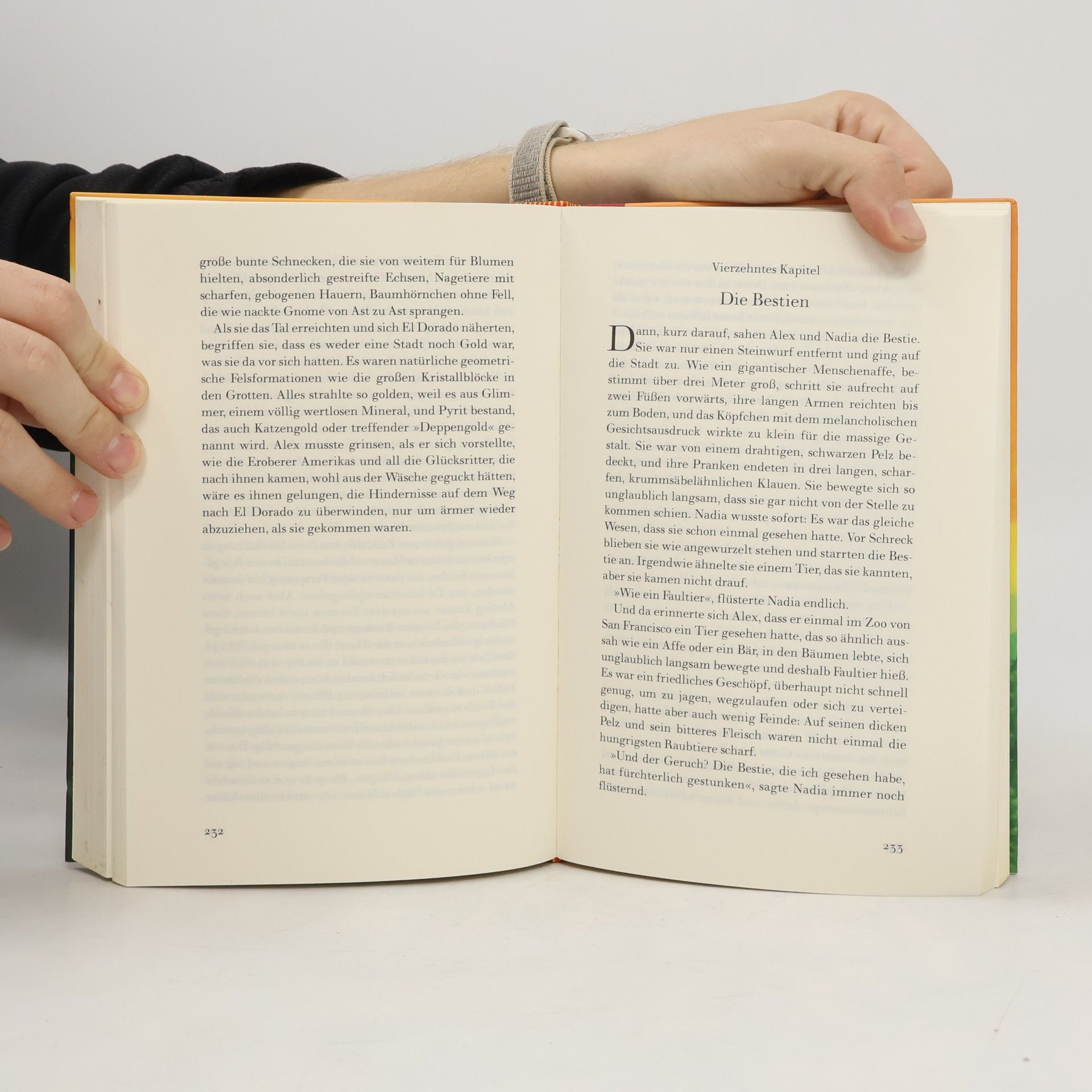 Isabel Allende Die Stadt der wilden Götter