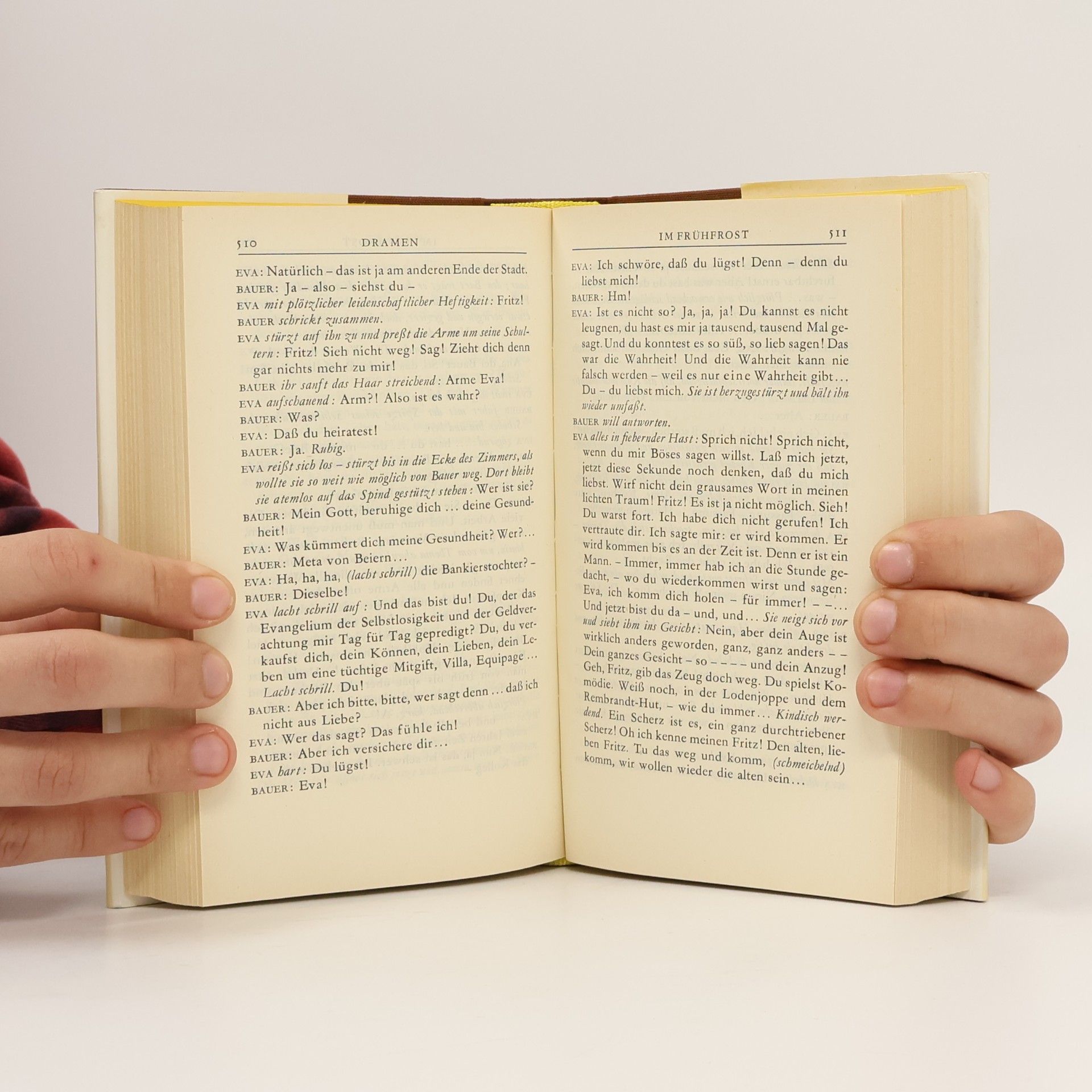 Rainer Maria Rilke Werke 2