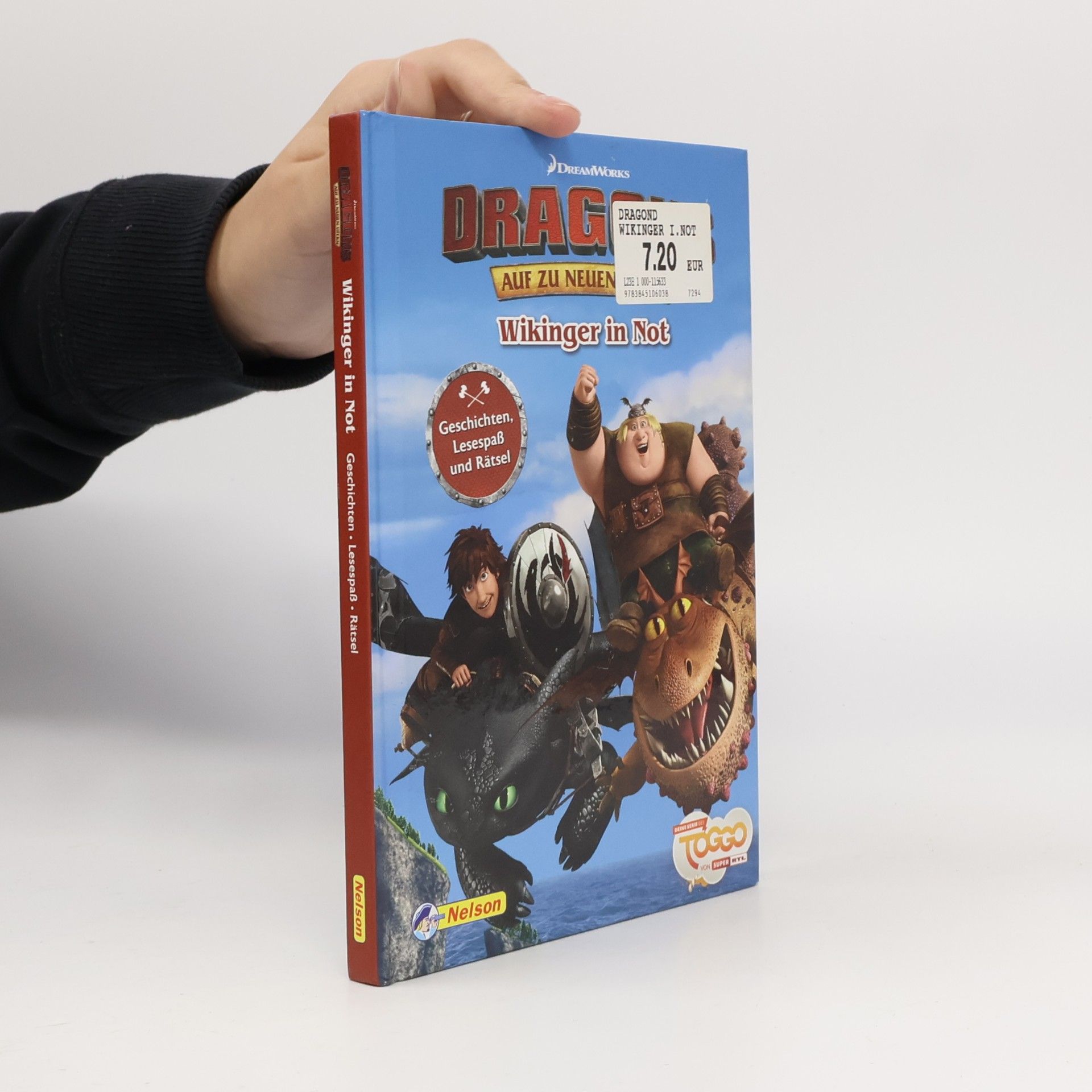 Dragons: auf zu neuen Ufern - Wikinger in Not