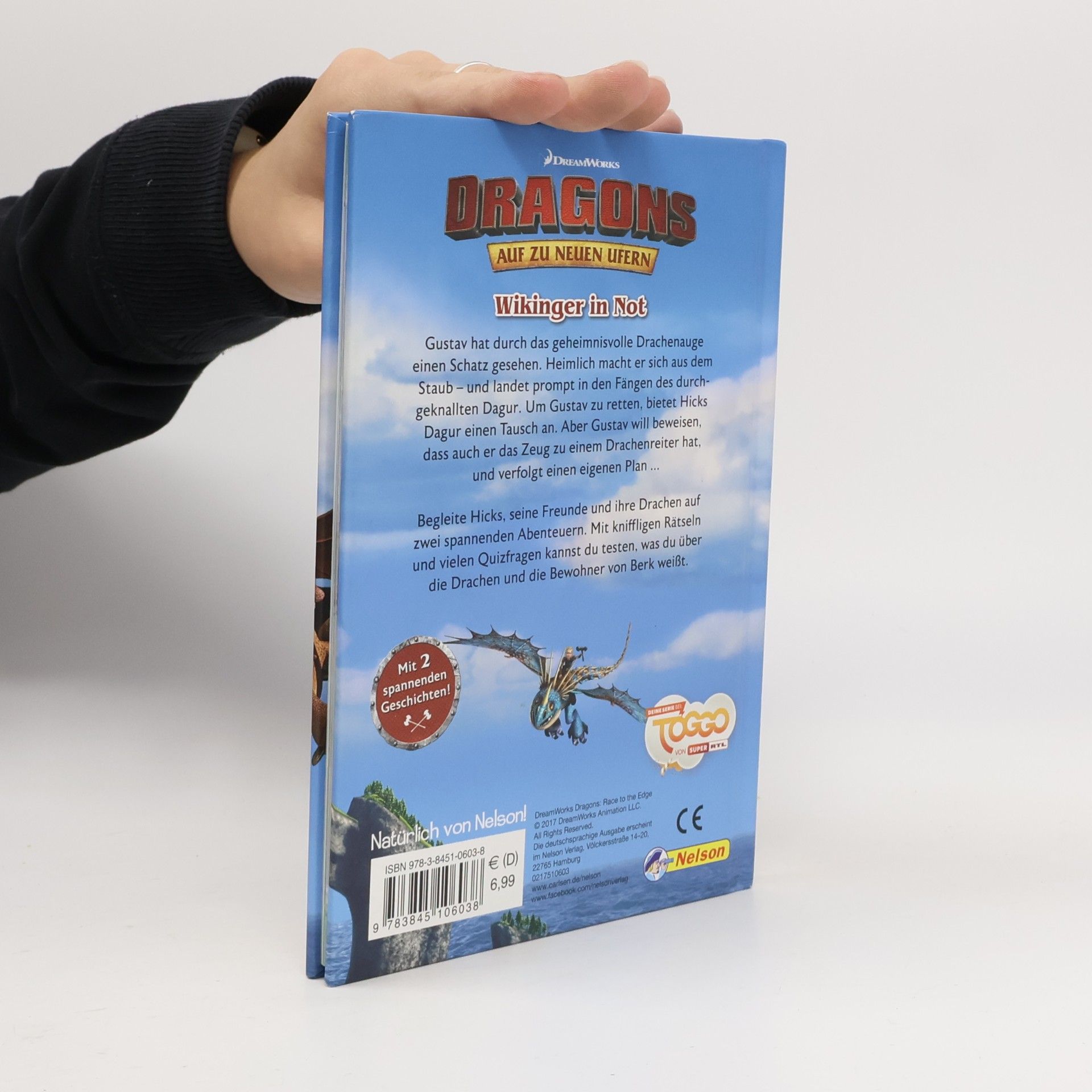 Miriam Ferdinand Dragons: auf zu neuen Ufern - Wikinger in Not