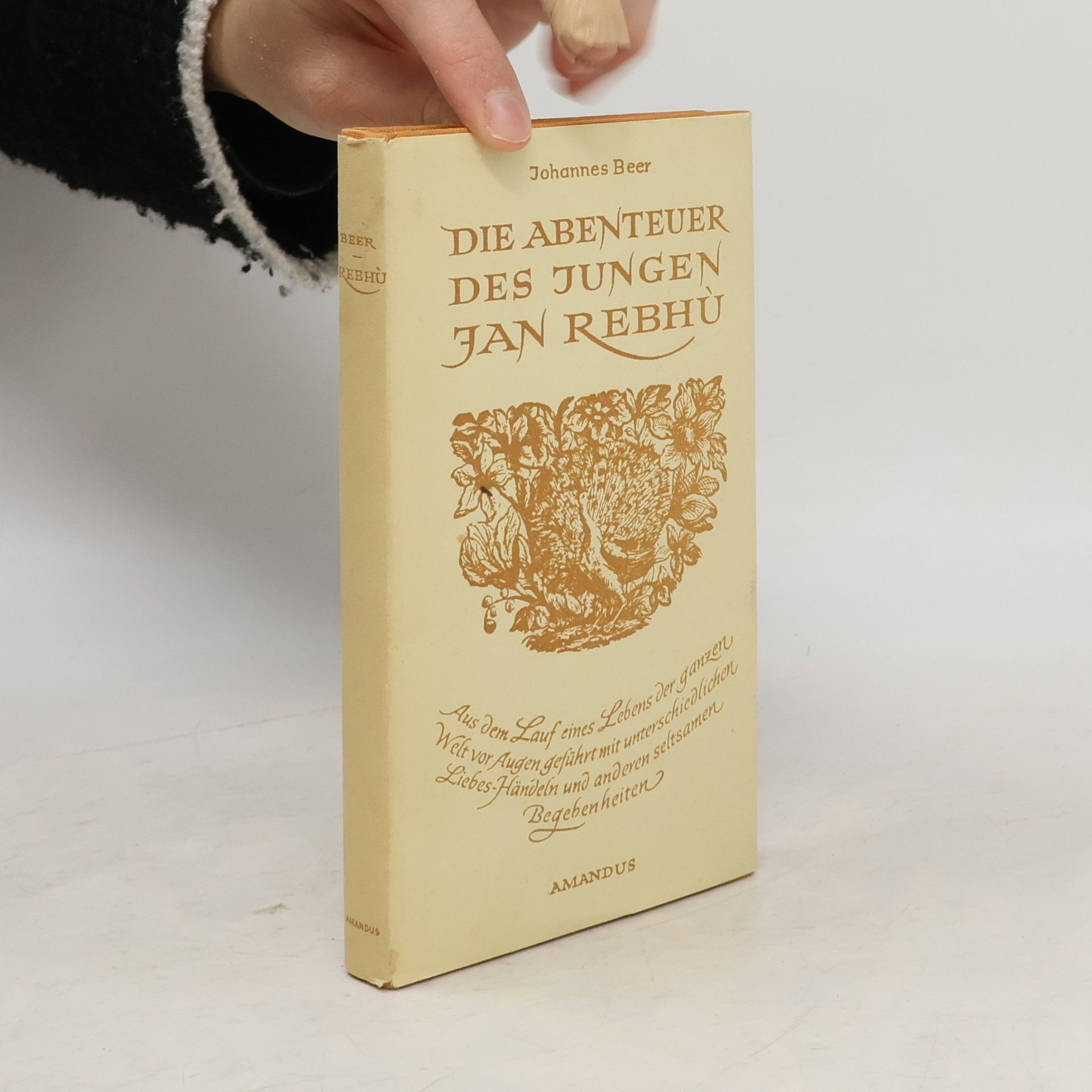 Die Abenteuer des jungen Jan Rebhù