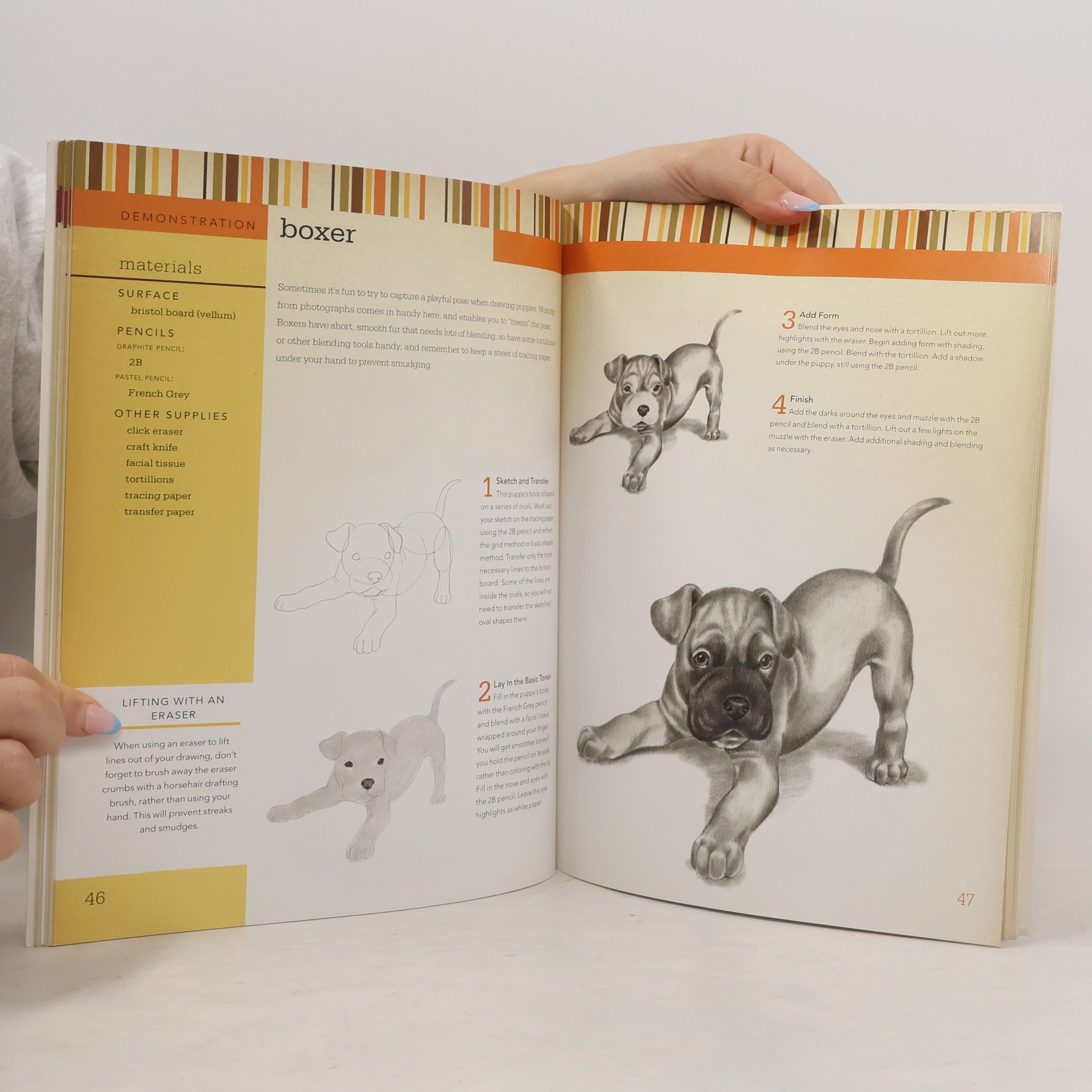 Jane Maday Draw Baby Animals