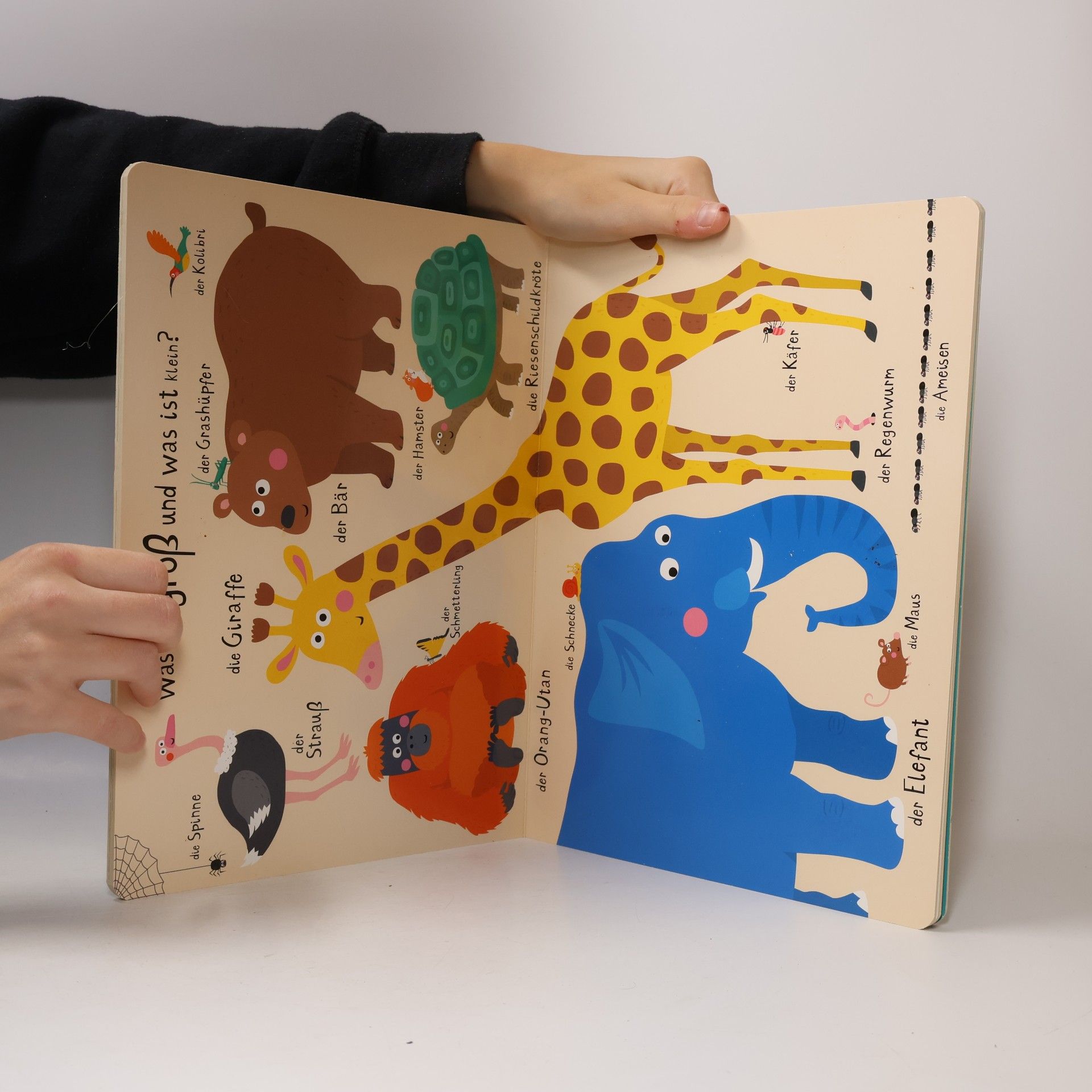 Nastja Holtfreter Käferklein, giraffengroß, hier ist was los! Mein kunterbuntes Tierbuch
