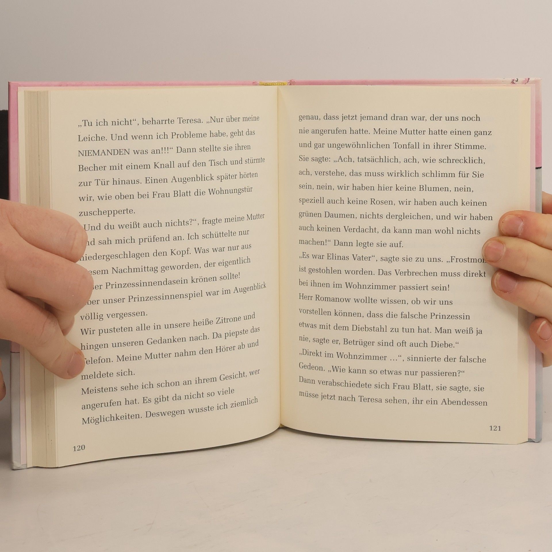 Hilke Rosenboom Das Handbuch für Prinzessinnen