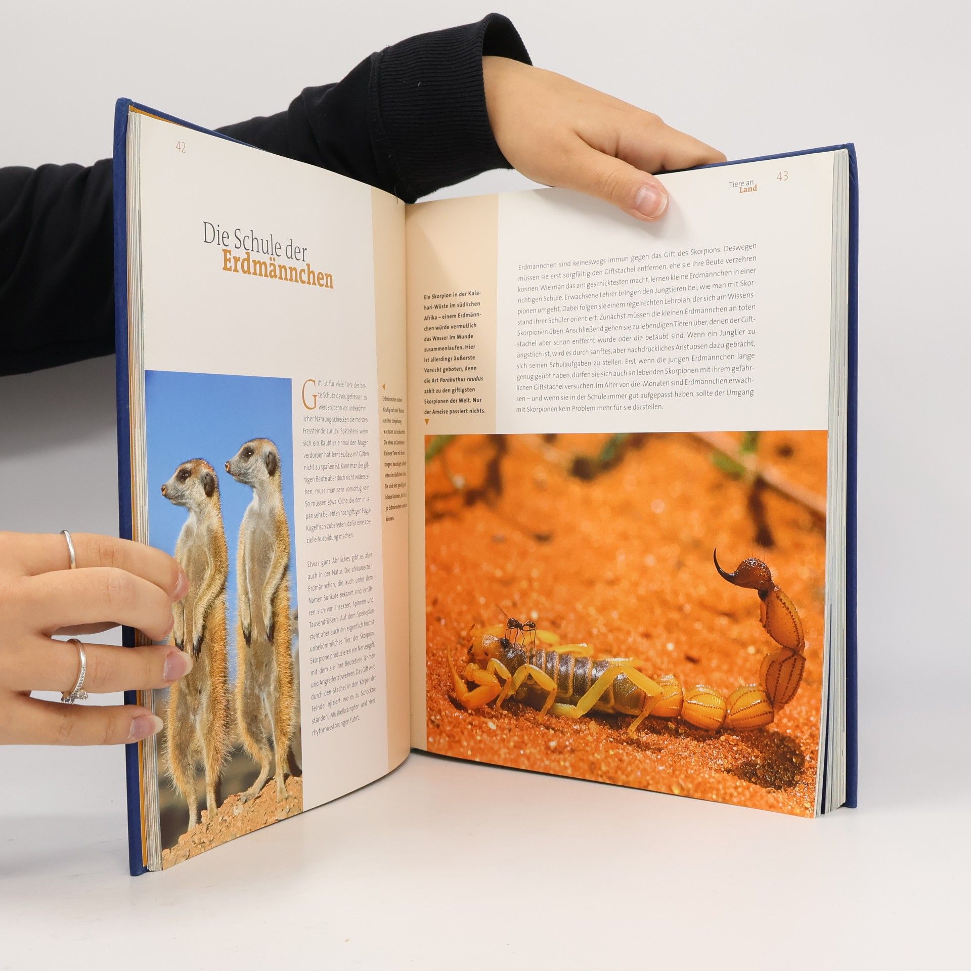 Thomas Klarmeyer Das große Buch der Naturwunder