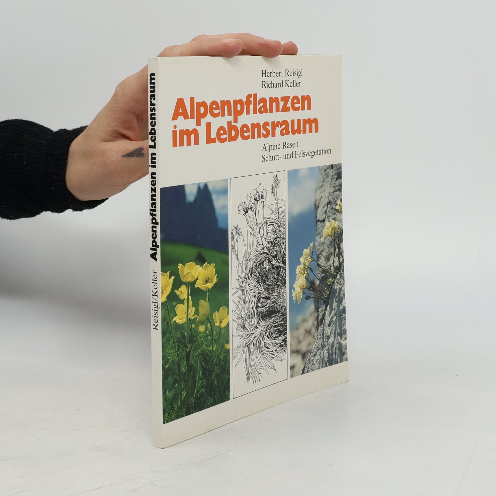 Alpenpflanzen im Lebensraum