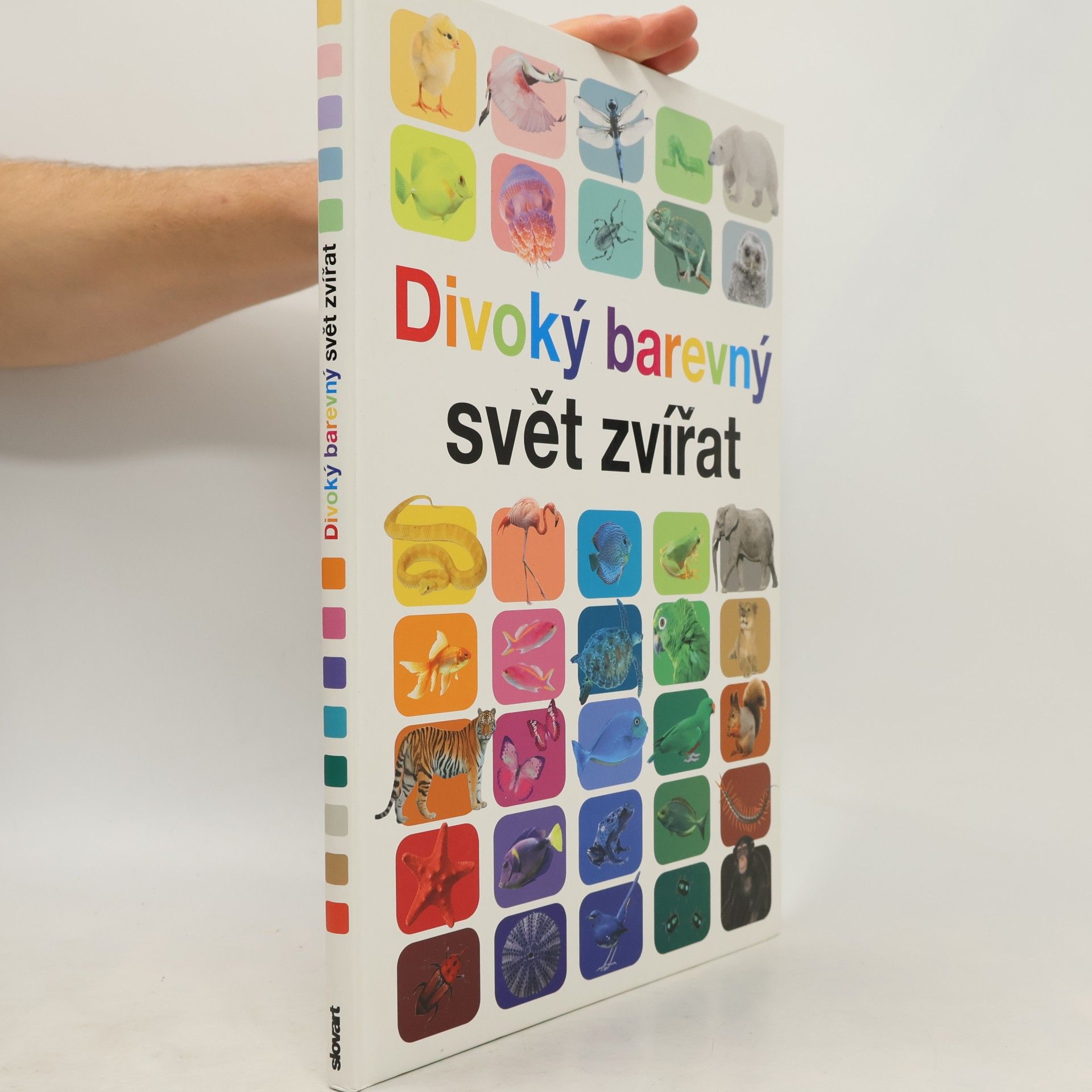 Divoký barevný svět zvířat