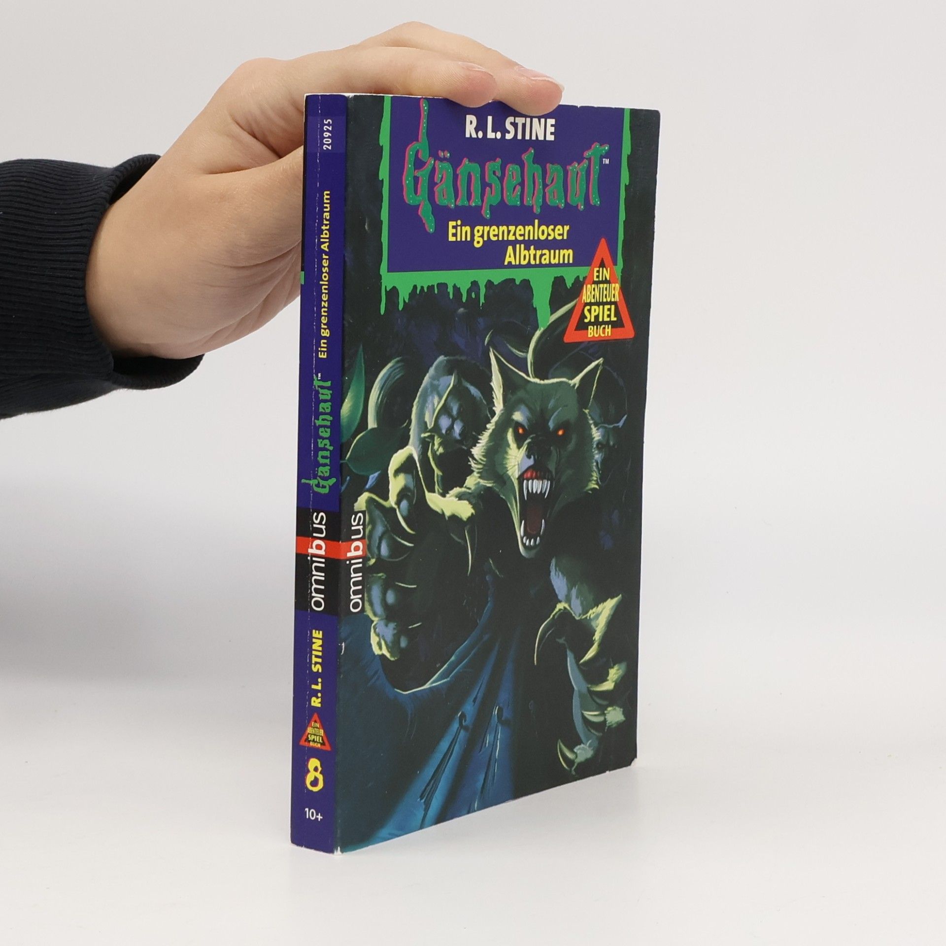 R. L. Stine Ein grenzenloser Albtraum