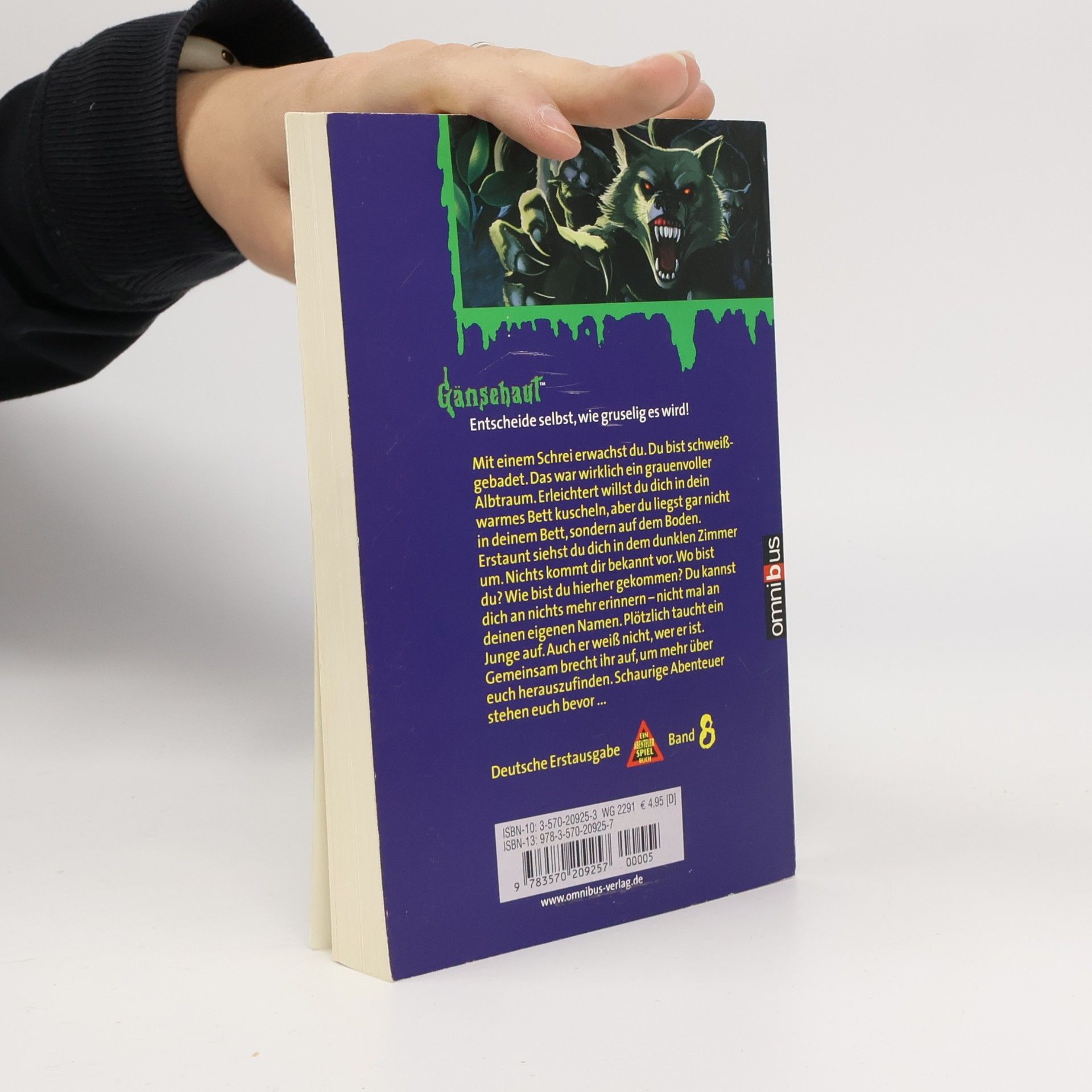 R. L. Stine Ein grenzenloser Albtraum