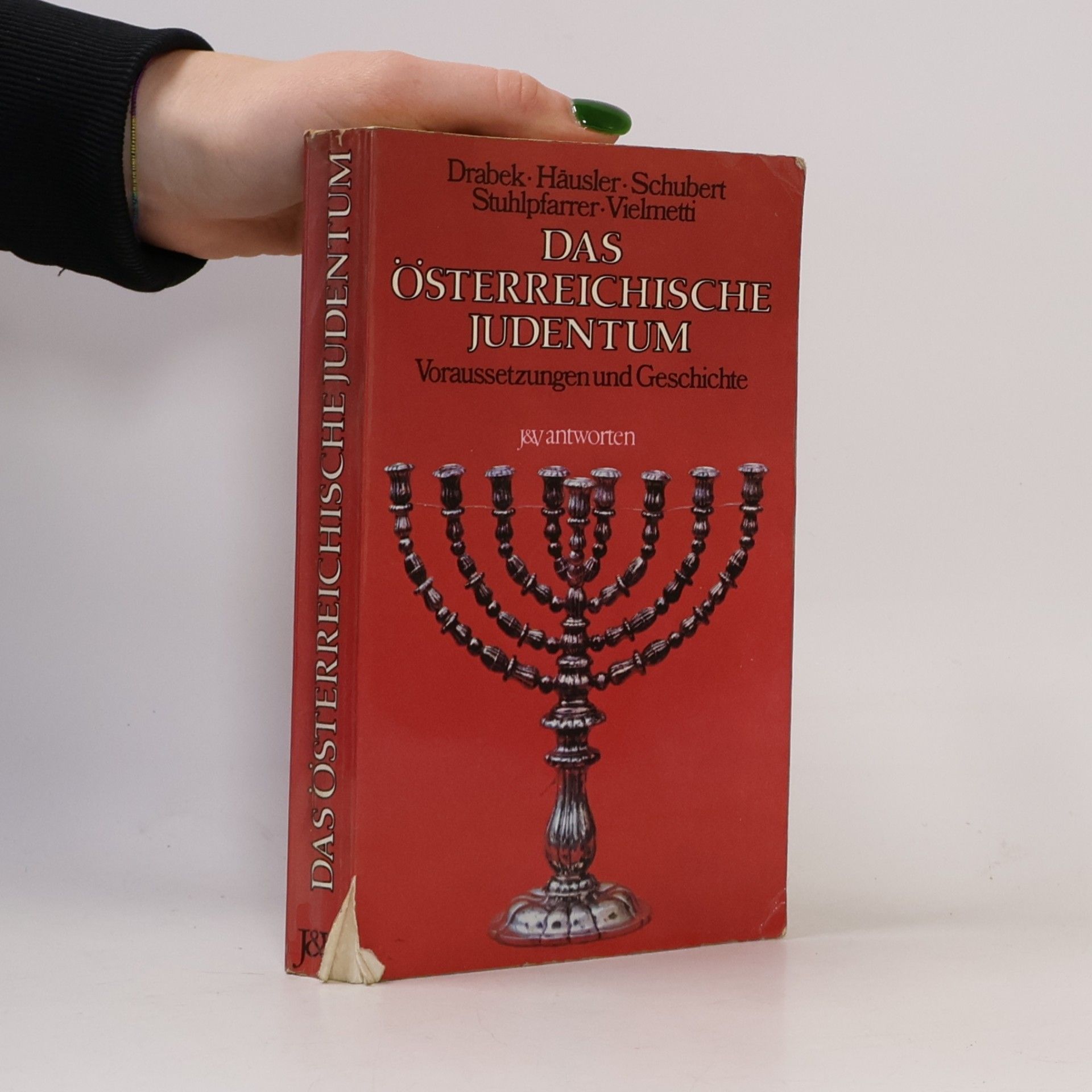 Das österreichische Judentum