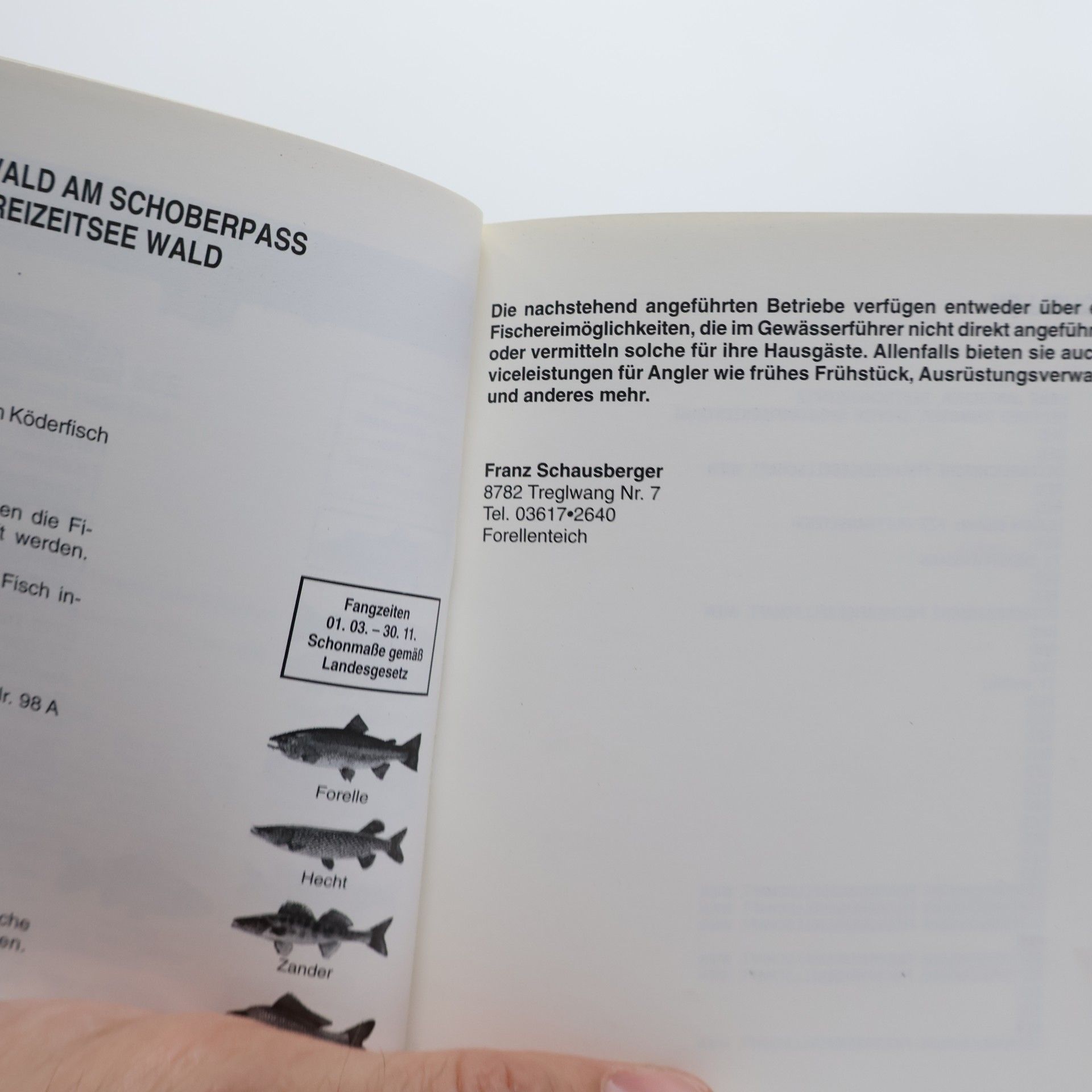 Harald Sisko Das Handbuch. Fischen in der Steiermark