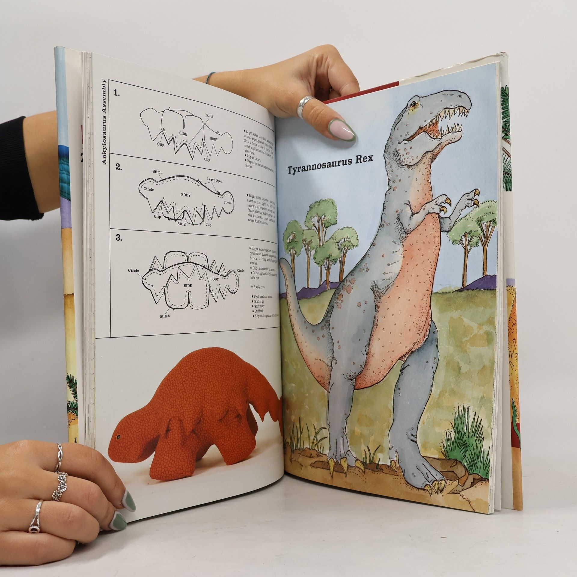 Michelle Lipson Sew a Dinosaur