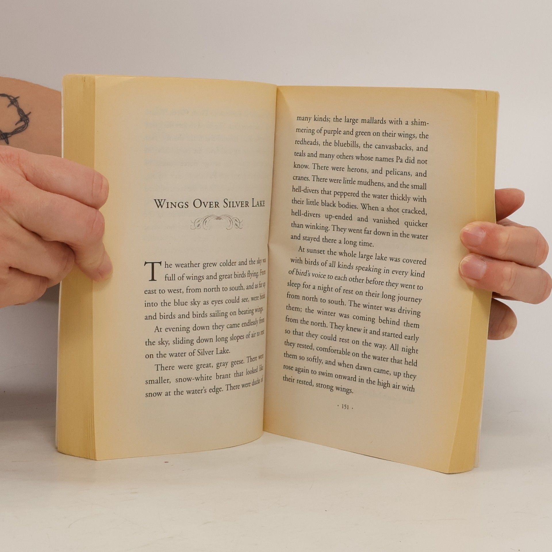 Laura Ingalls Wilder Little House - 5: By the Shores of Silver Lake