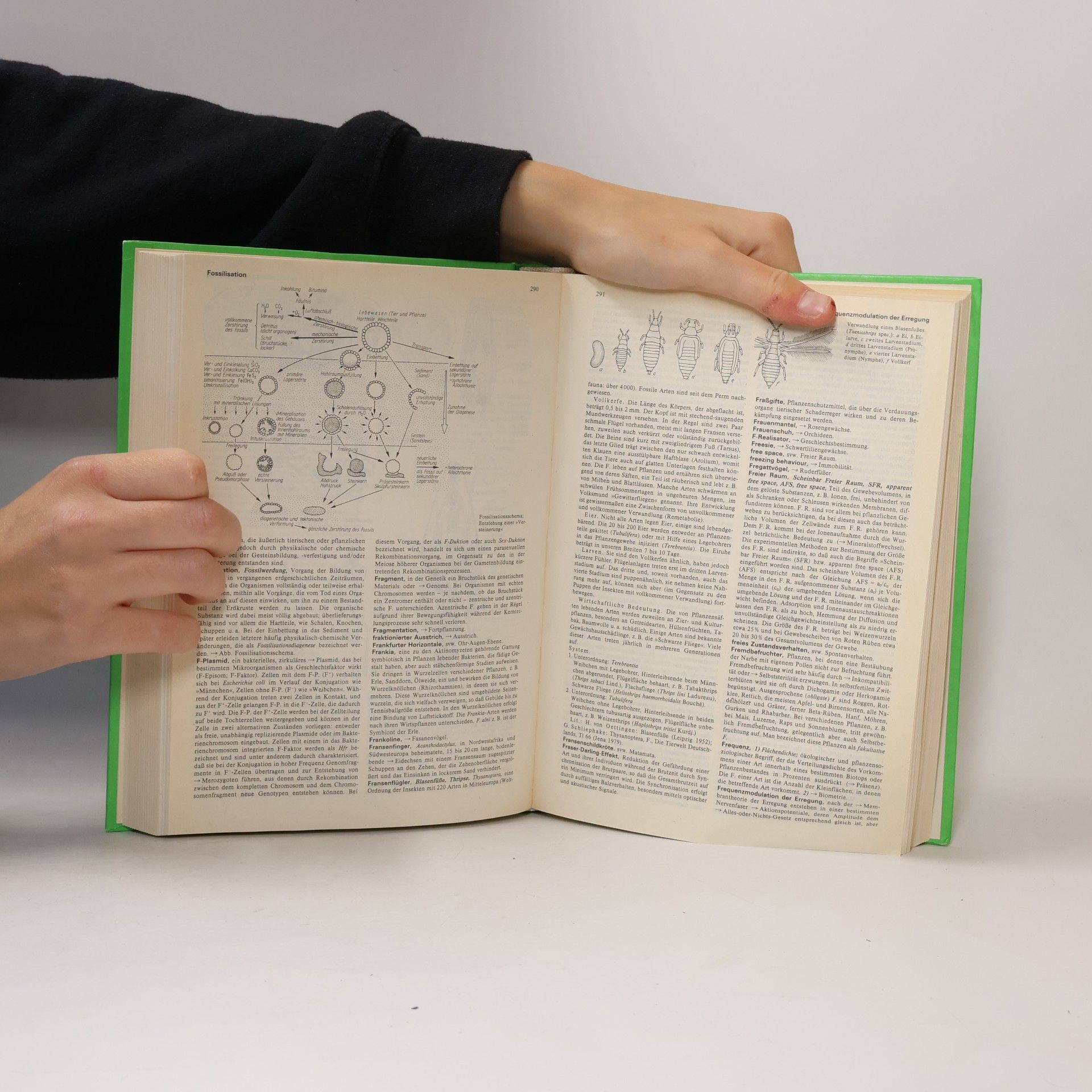 AA.VV. Brockhaus-ABC Biologie. Band 1