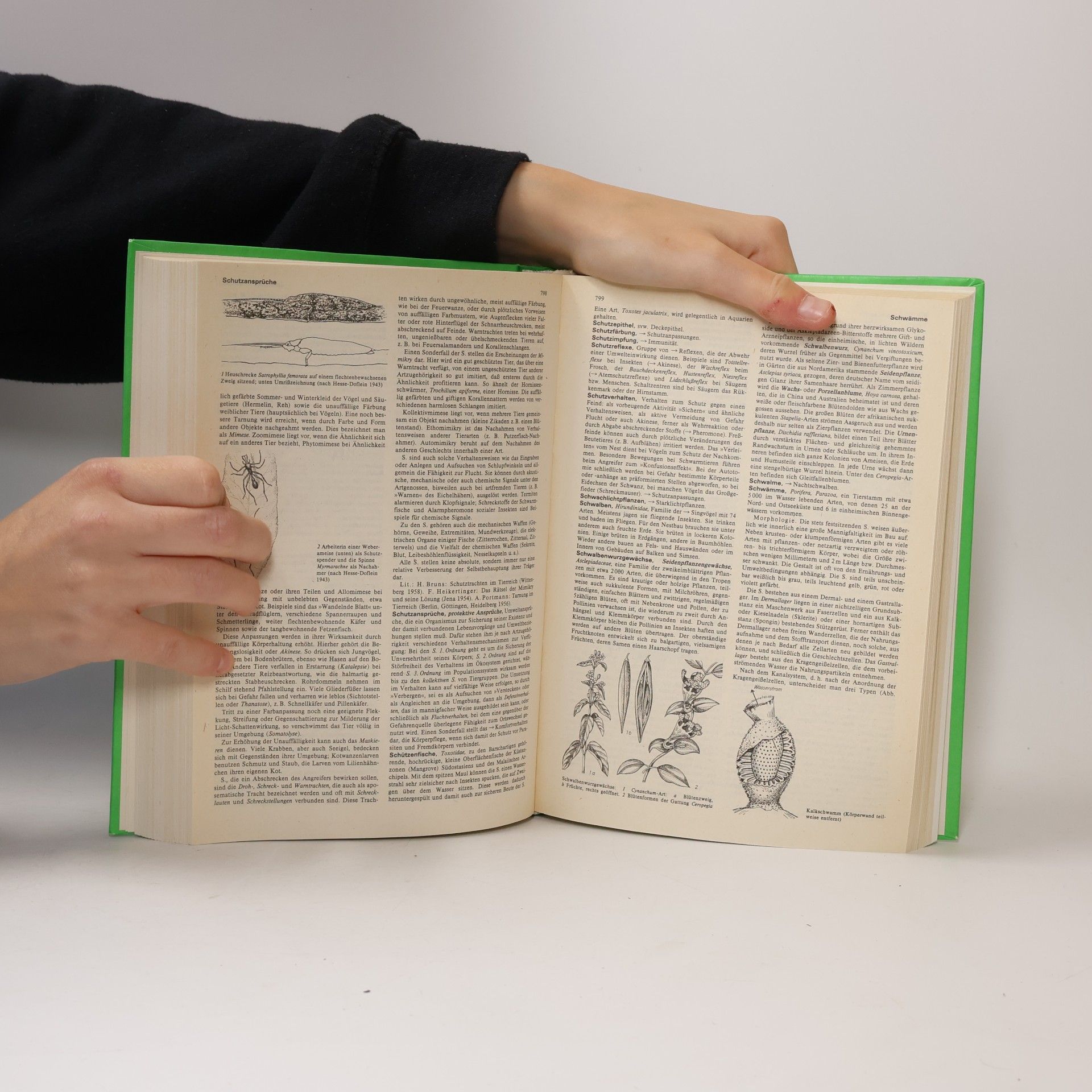 Friedrich W. Stöcker Brockhaus-ABC Biologie