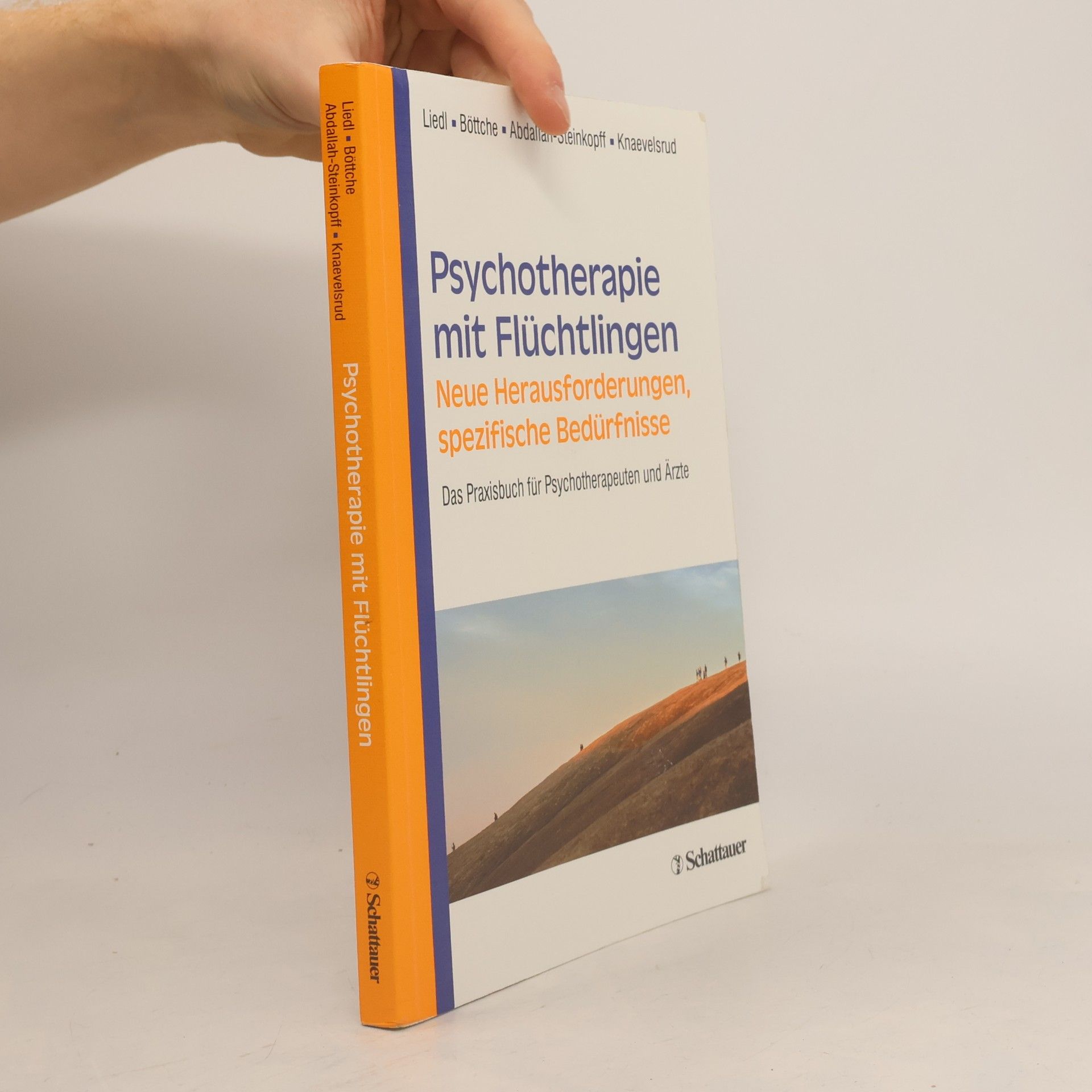 Psychotherapie mit Flüchtlingen - Neue Herausforderungen, spezifische Bedürfnisse