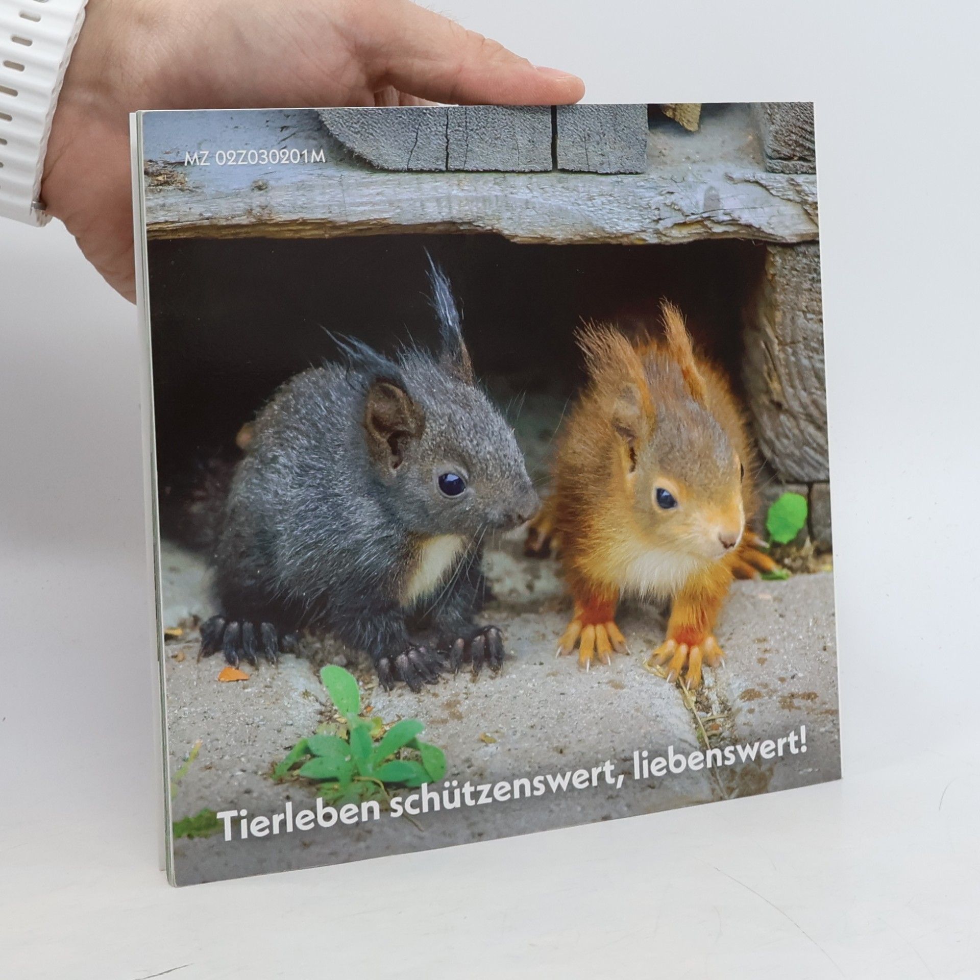 Brigitte Werle Herzensbrecher