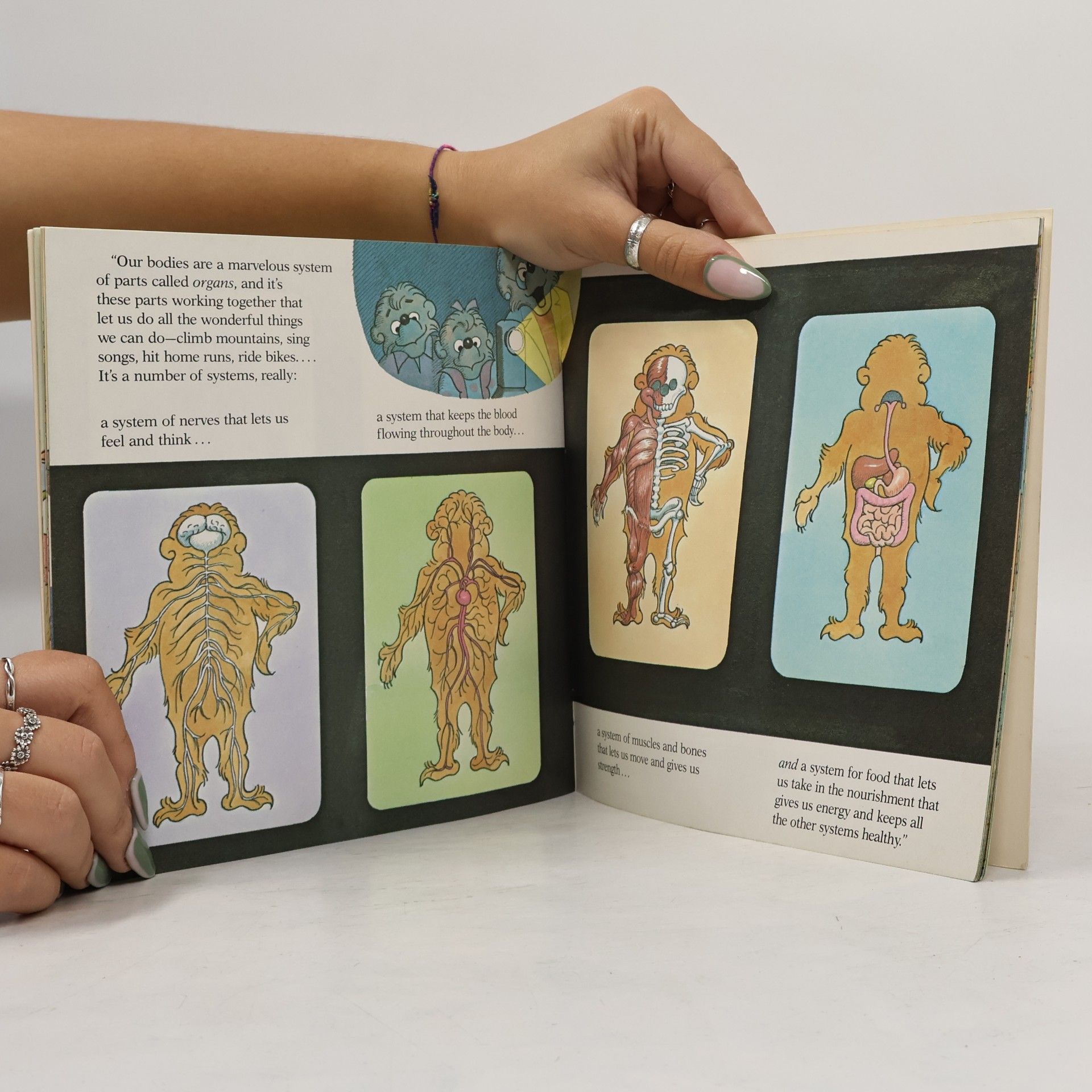 Stan Berenstain First Time Books: The Berenstain Bears and Too Much Junk Food