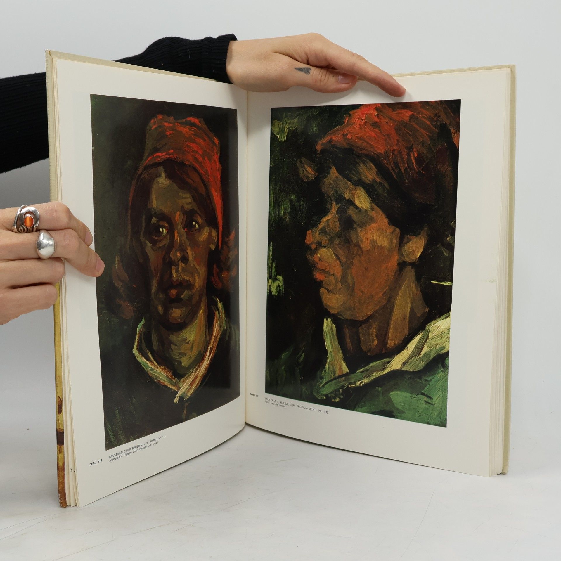 Paolo Lecaldano Van Gogh