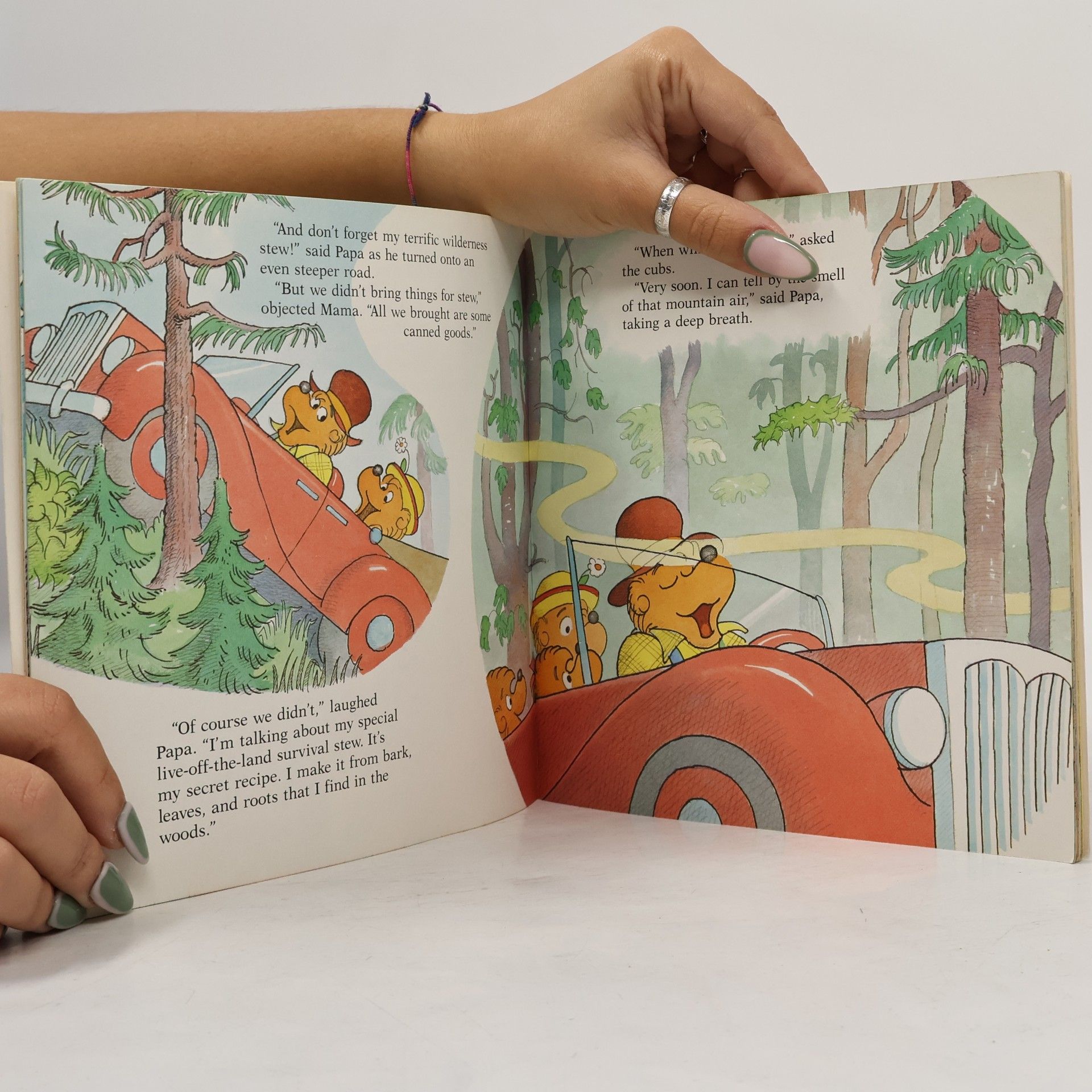 Stan Berenstain The Berenstain Bears and Too Much Vacation