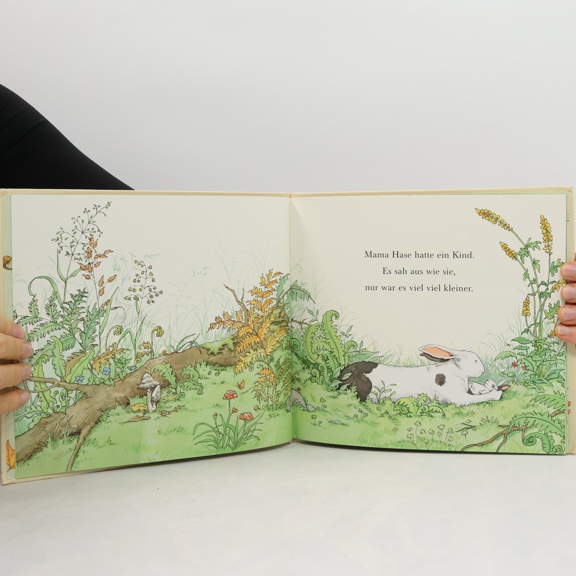 Anita Jeram Knuddelhase