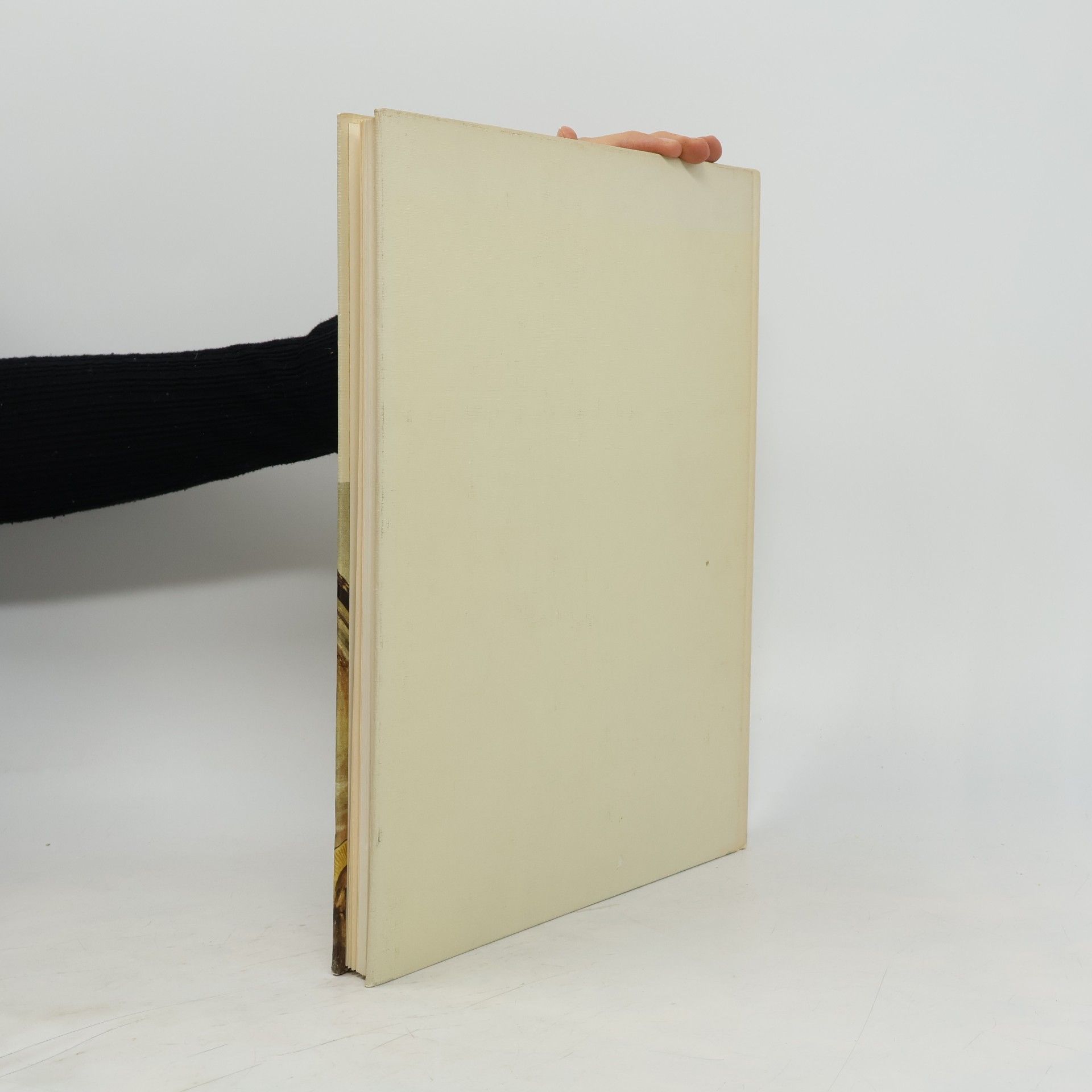Elsa Morante Das Gesamtwerk von Fra Angelico
