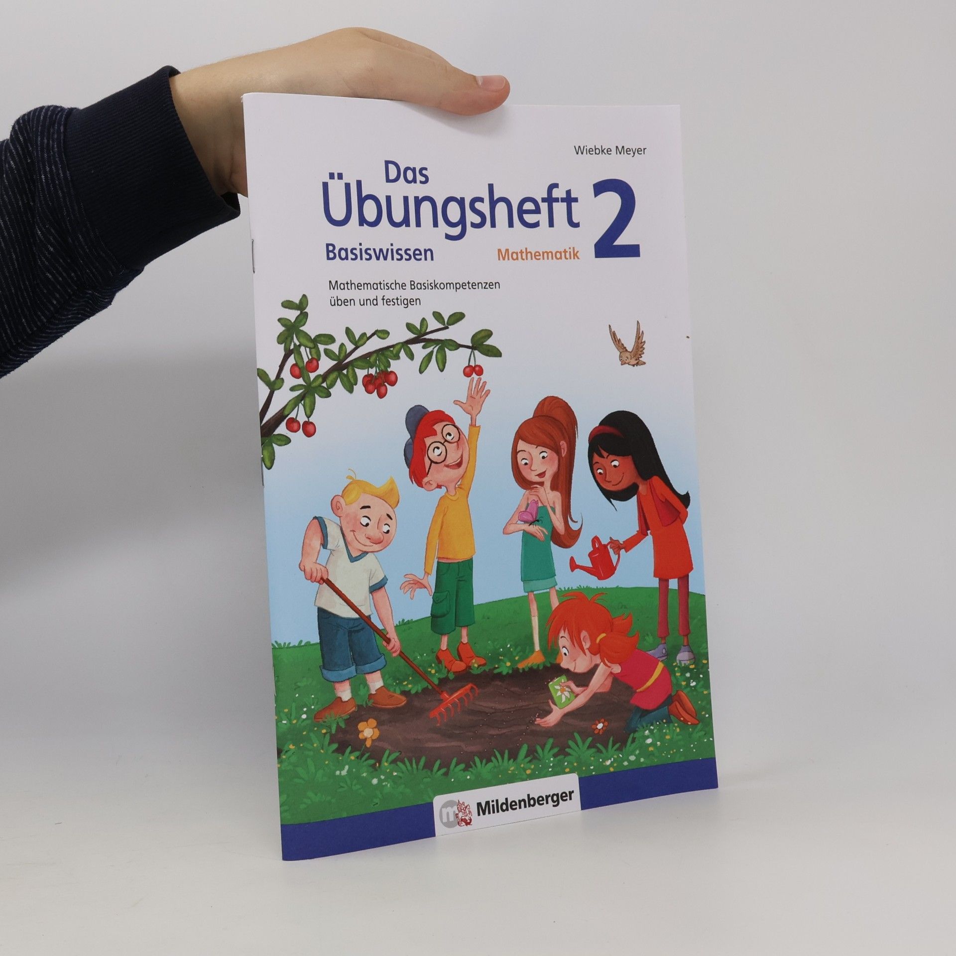 Das Übungsheft - Basiswissen Mathematik