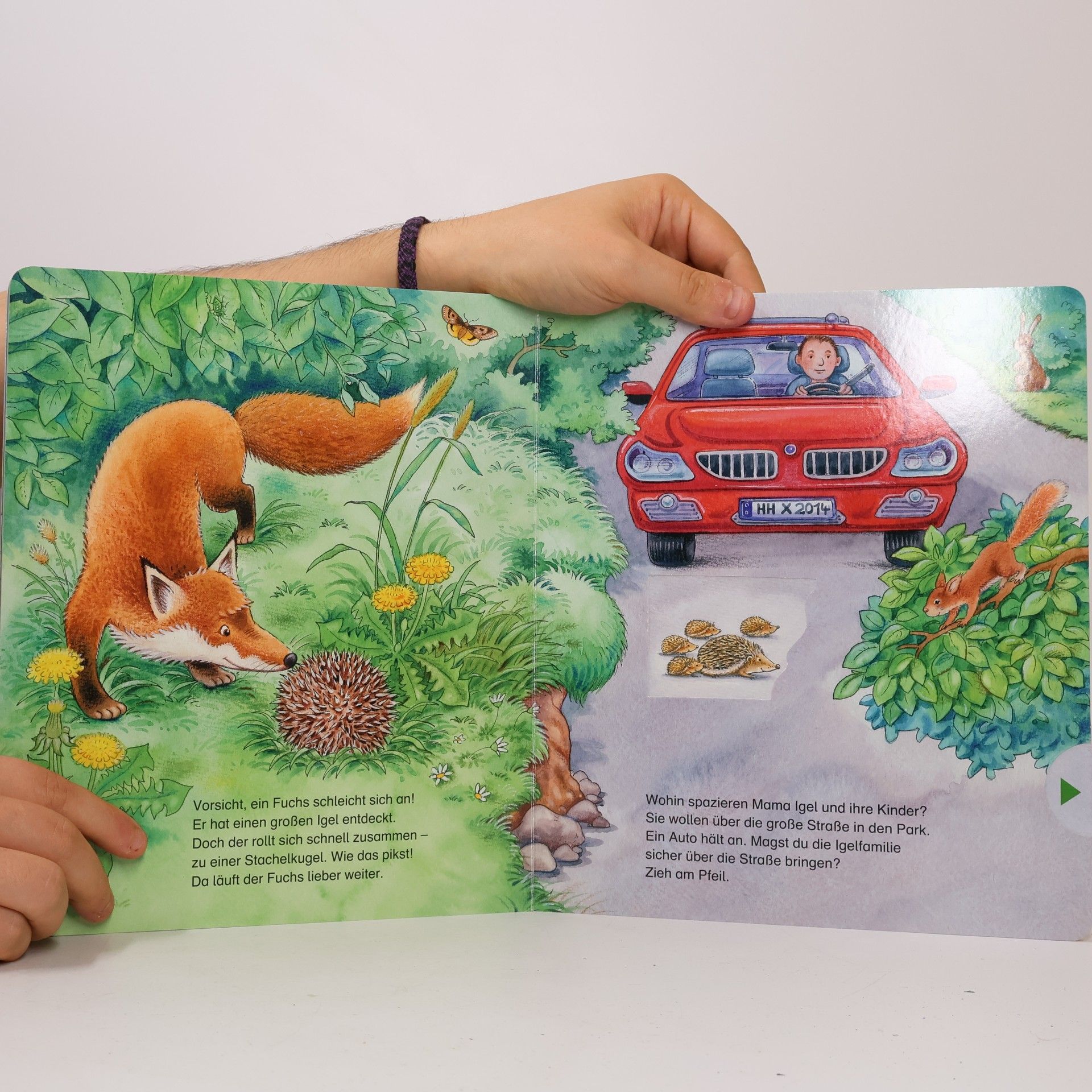 Friederun Reichenstetter Der kleine Igel