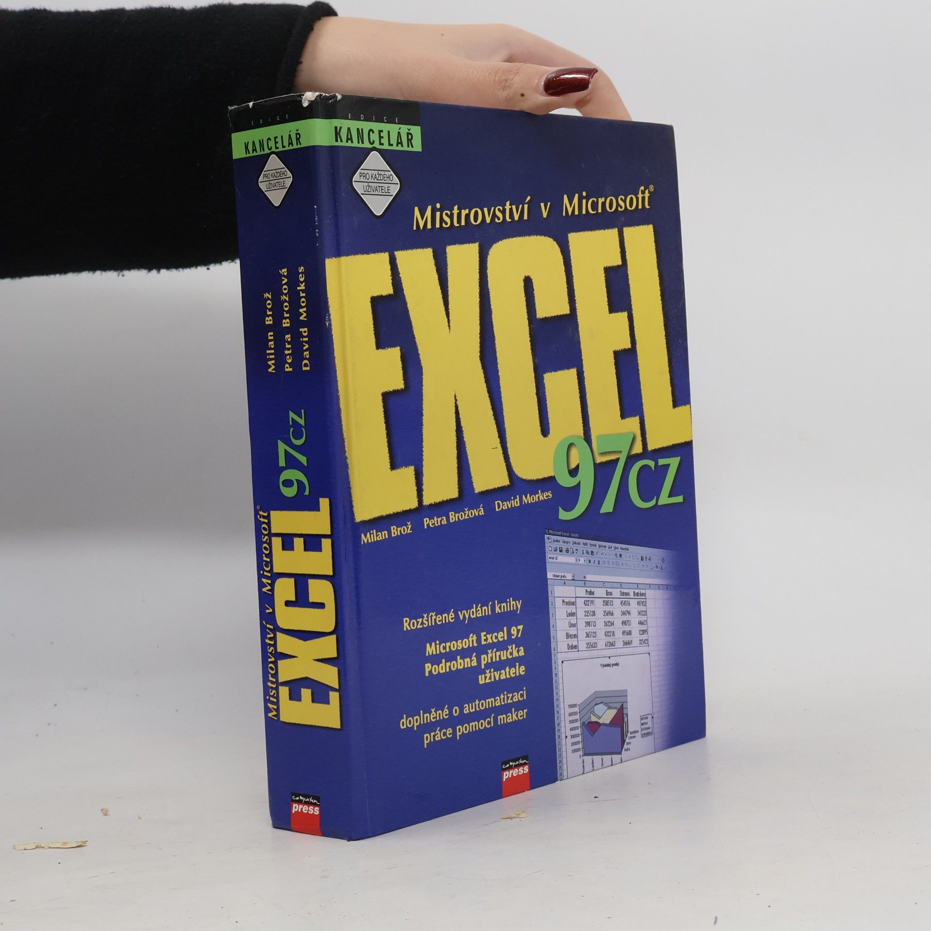 Mistrovství v Microsoft Excel 97 CZ