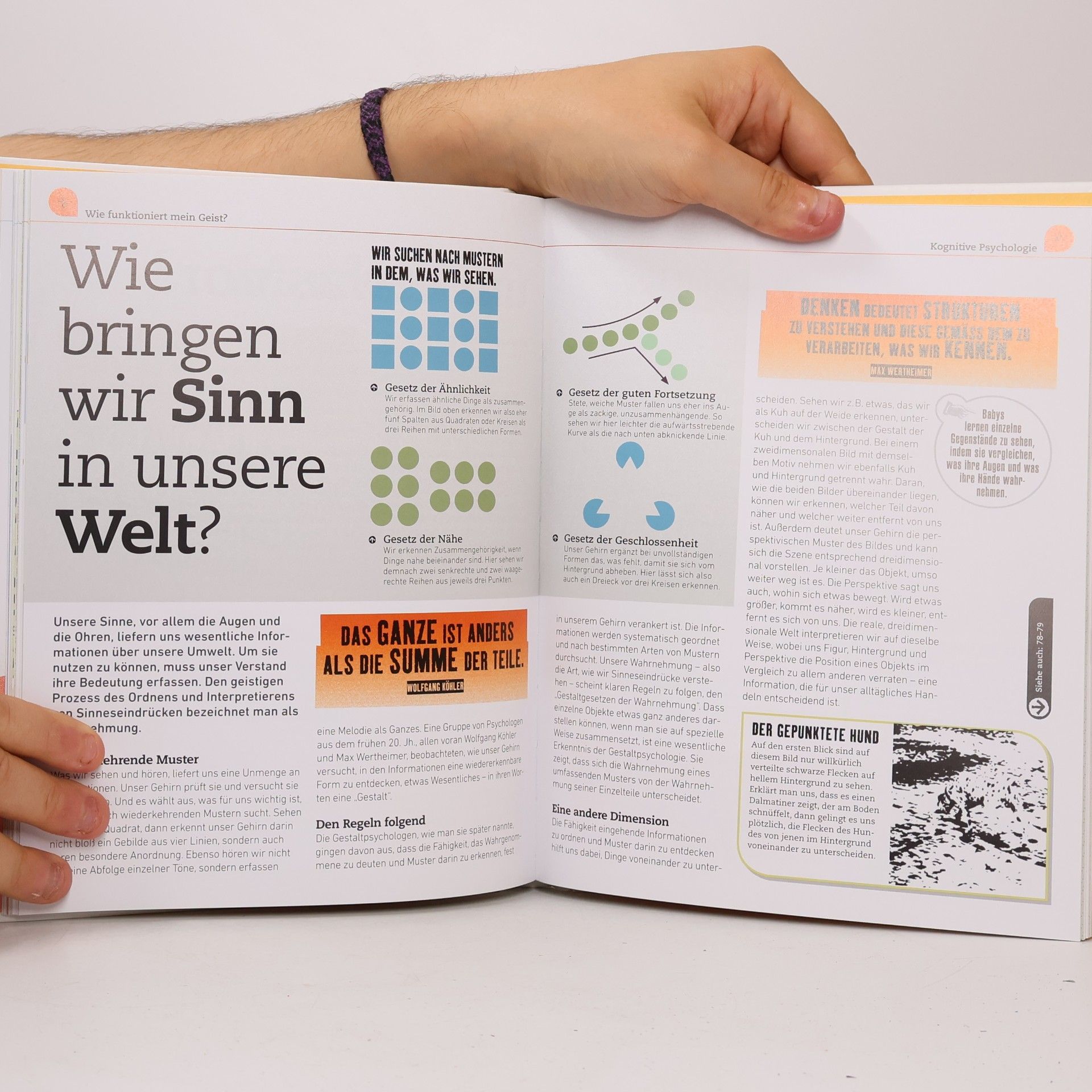 Marcus Weeks Kernfragen Psychologie