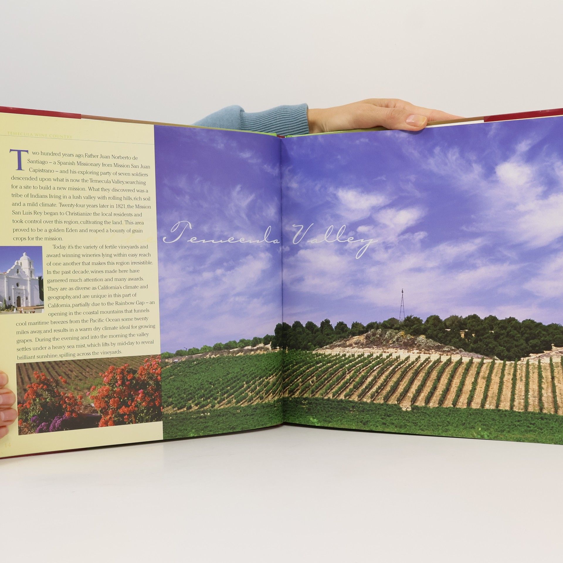 Gia Danson-Lucy Temecula Wine Country