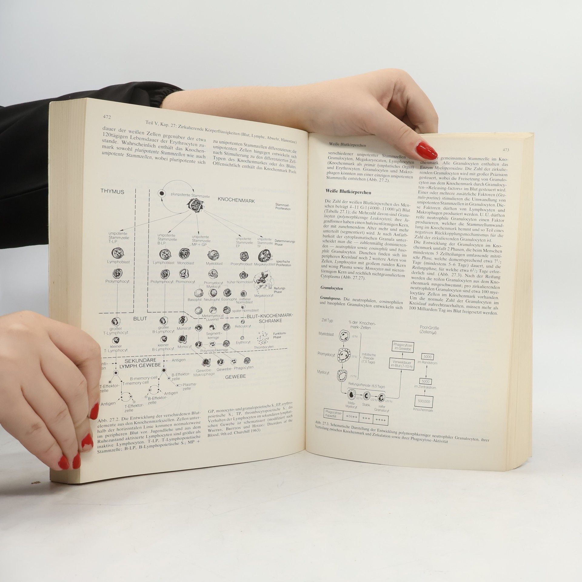 William Francis Ganong Jr. Lehrbuch der Medizinischen Physiologie