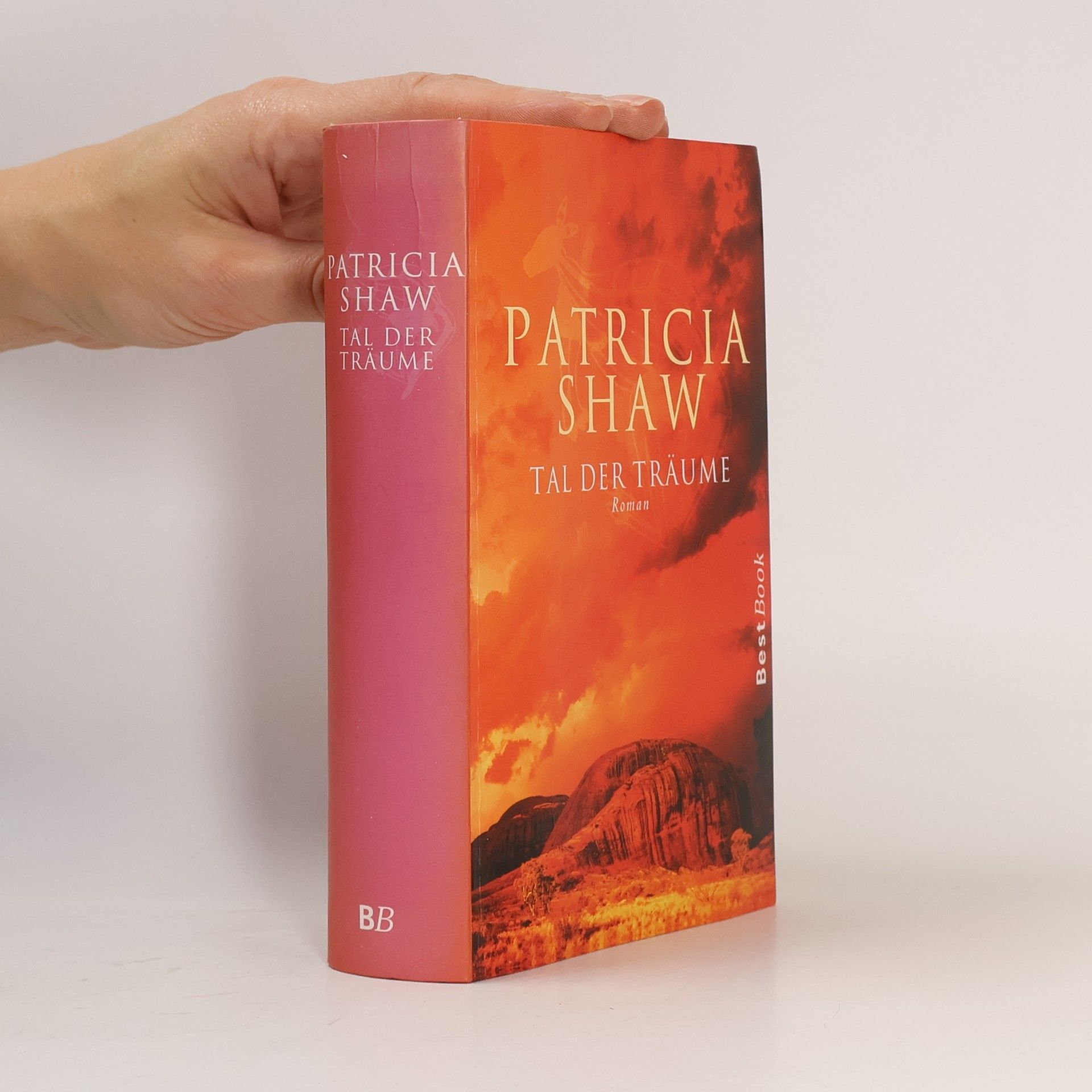 Patricia Shaw Tal der Träume