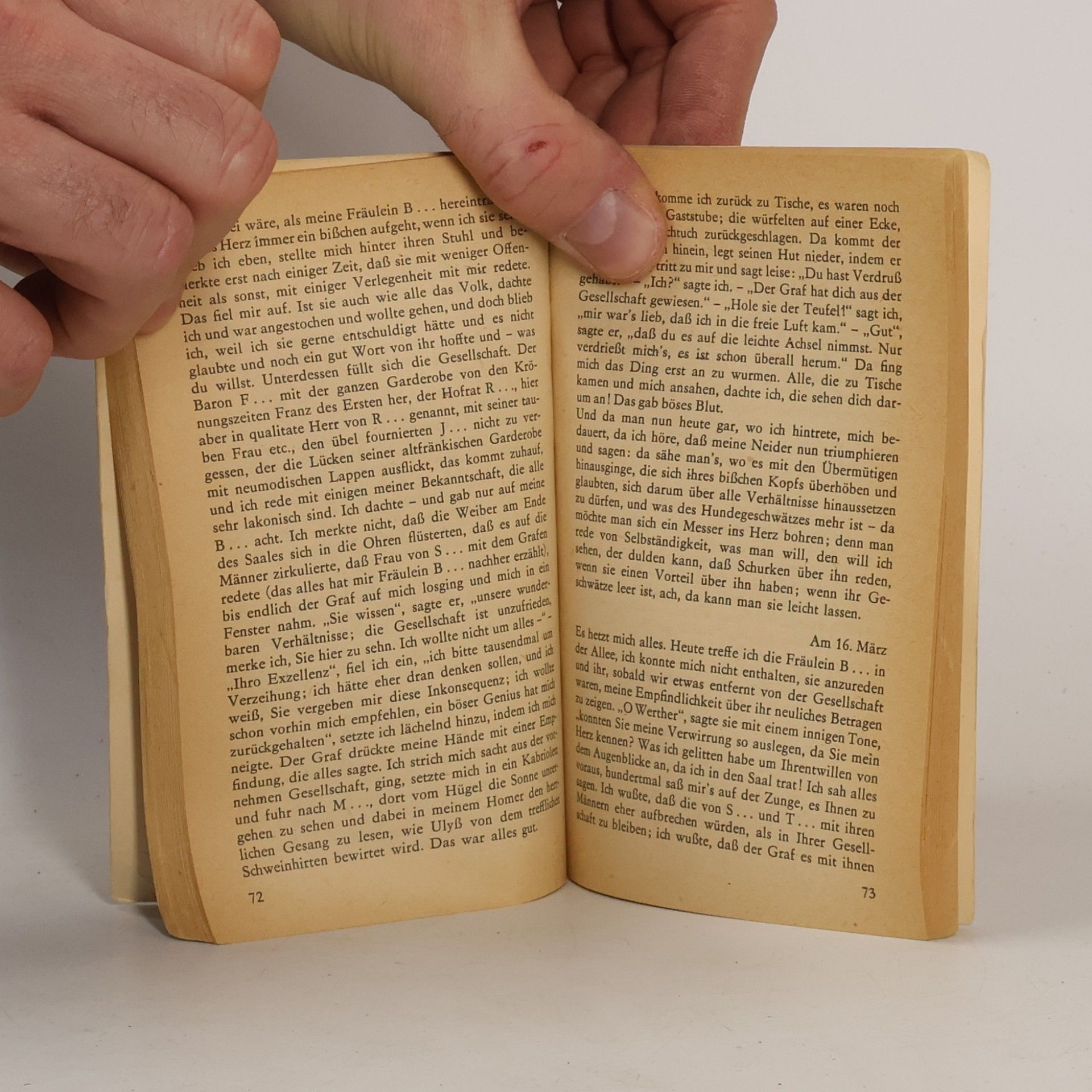 Johann Wolfgang von Goethe Die Leiden des jungen Werther