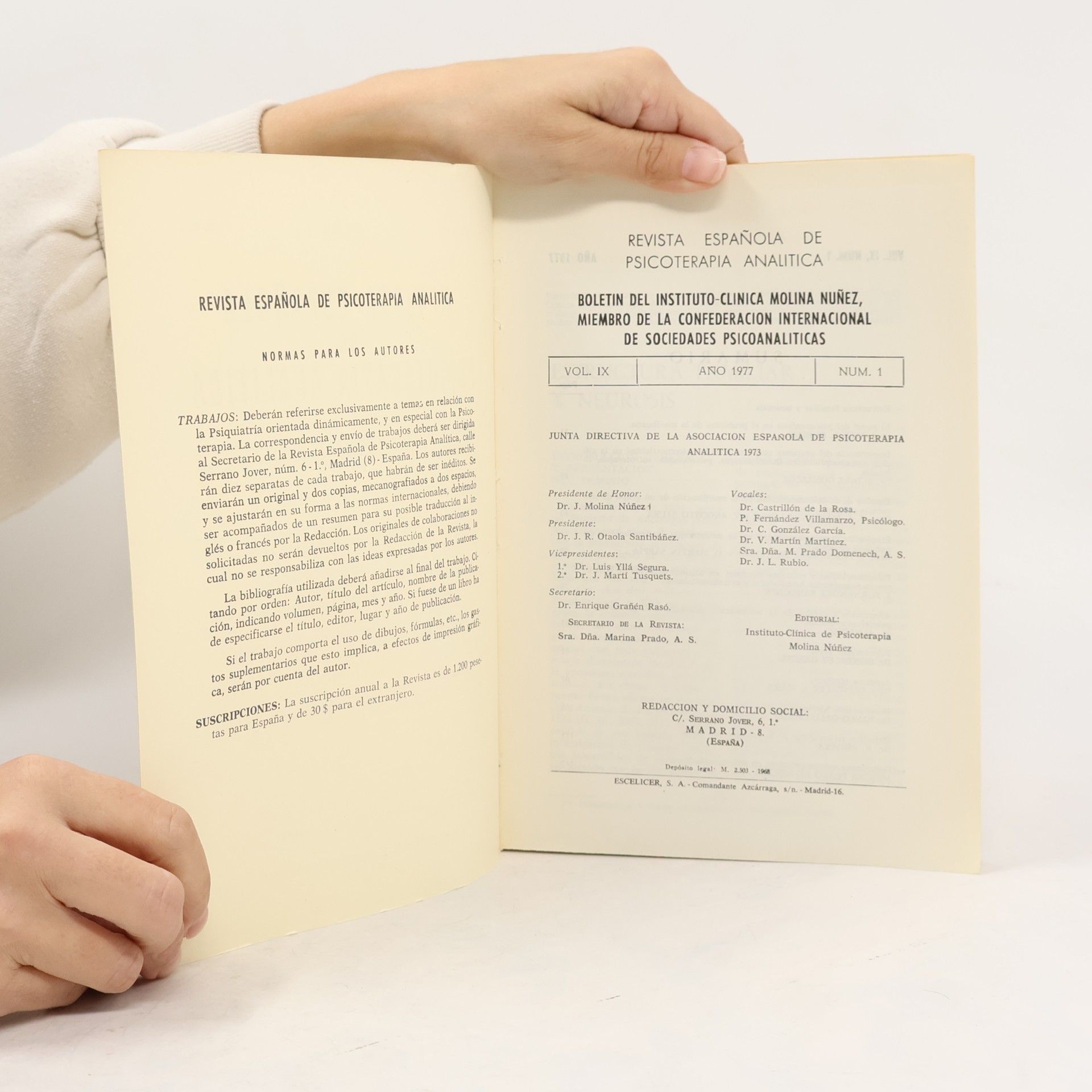 Auteurscollectief REVISTA ESPAÑOLA DE PSICOTERAPIA ANALITICA