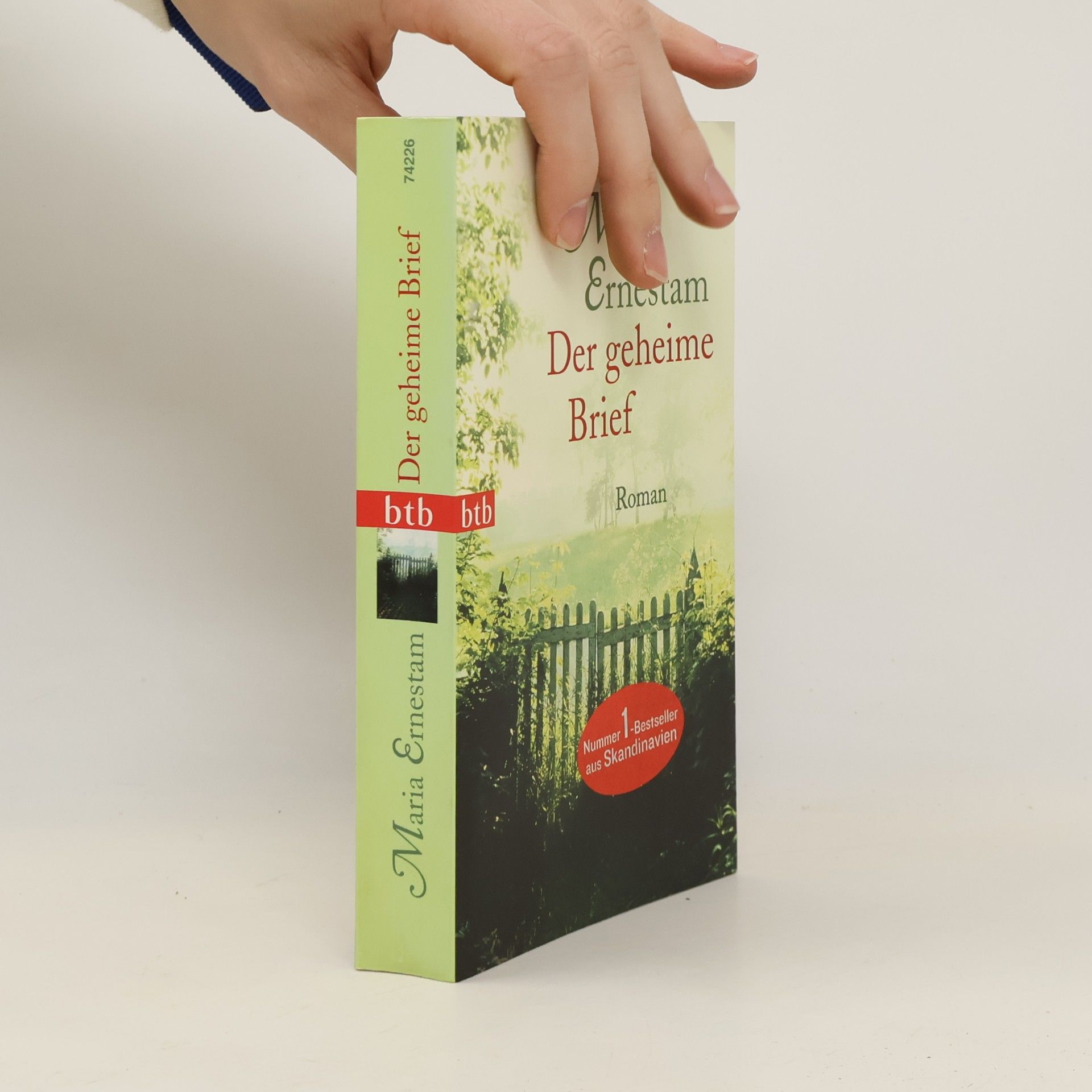 Maria Ernestam Der geheime Brief