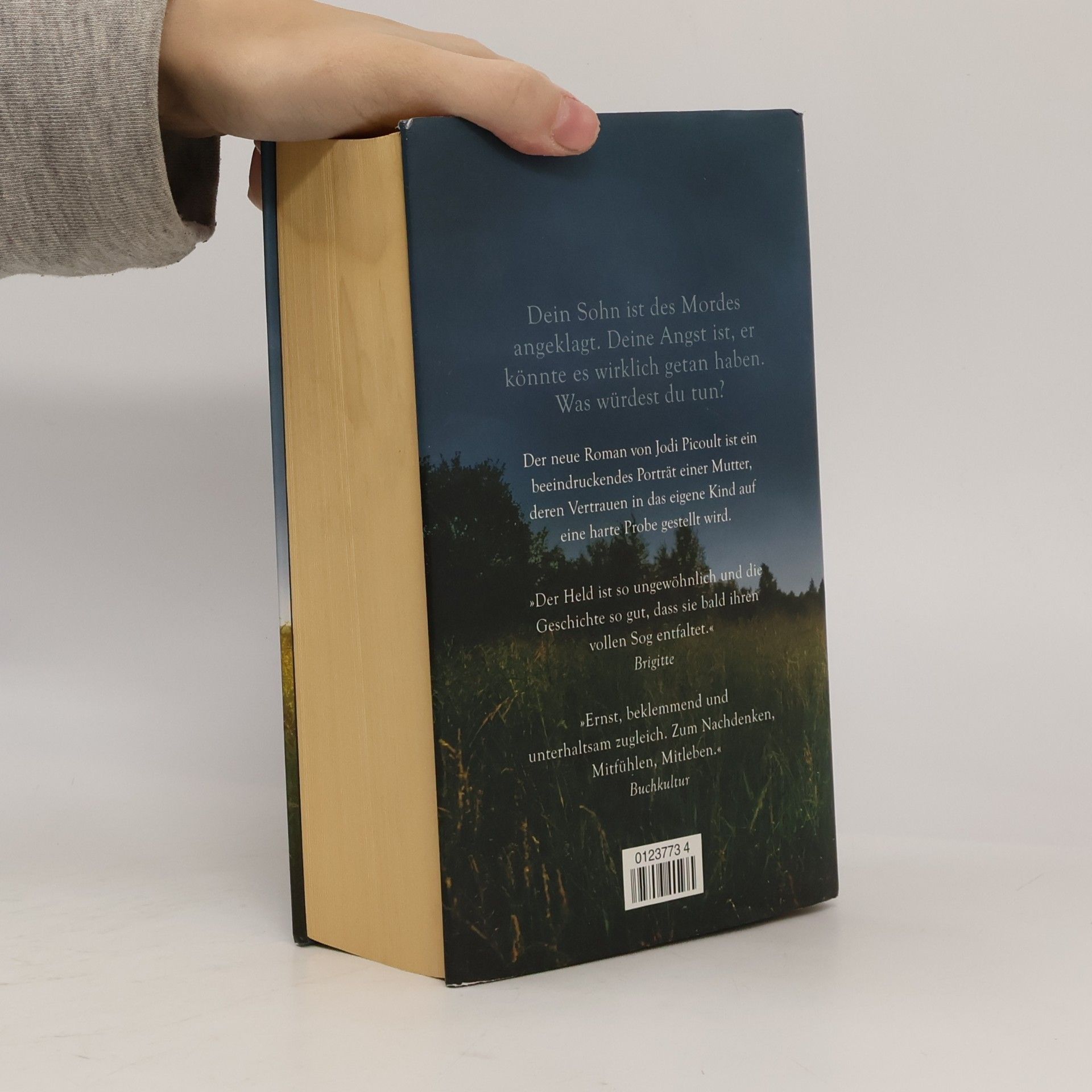 Jodi Picoult In den Augen der Anderen