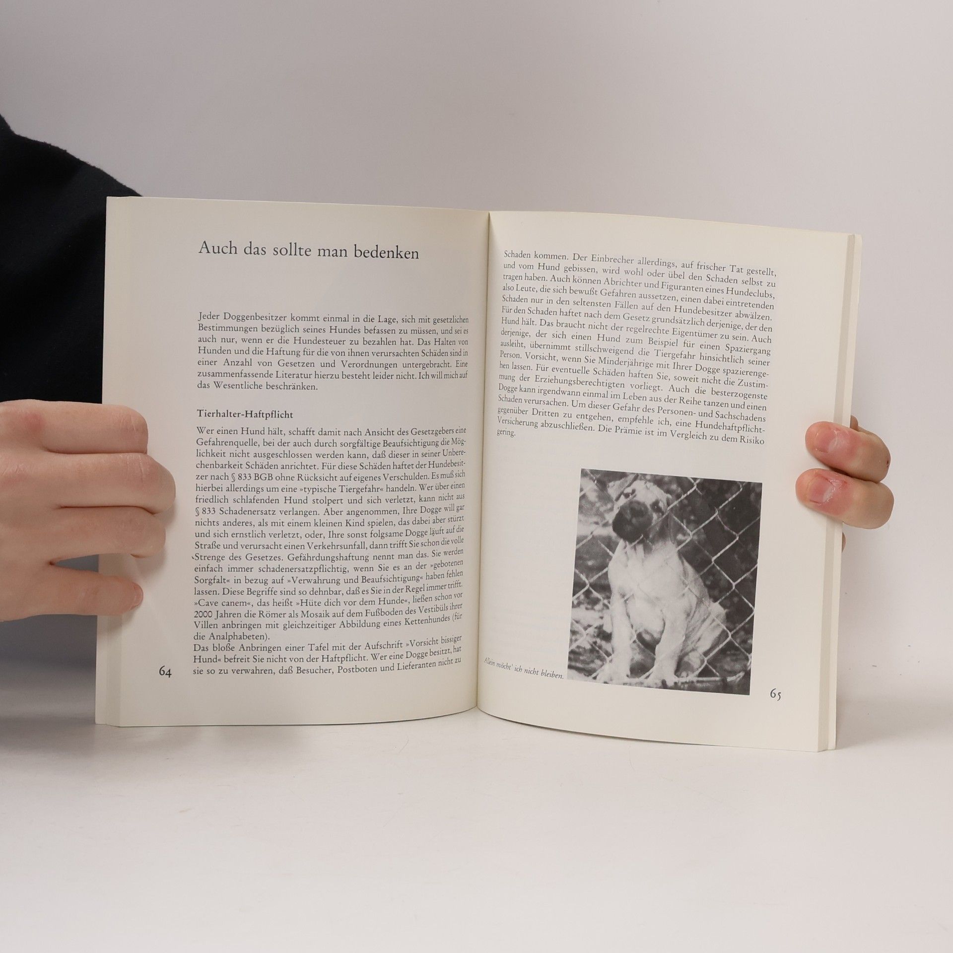 Winfried Nouc Die Dogge