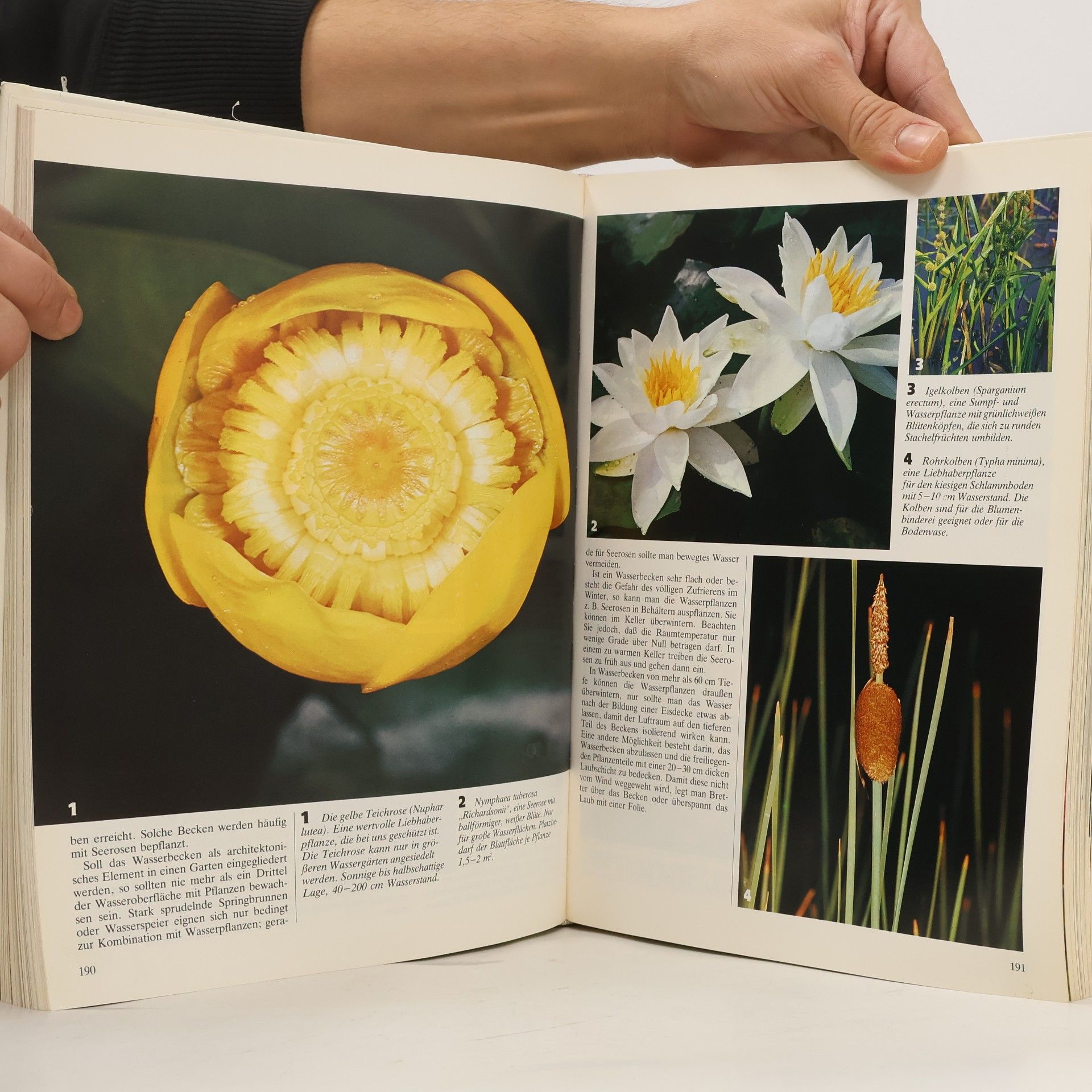 Kolektiv autorů Das grosse Buch vom Garten