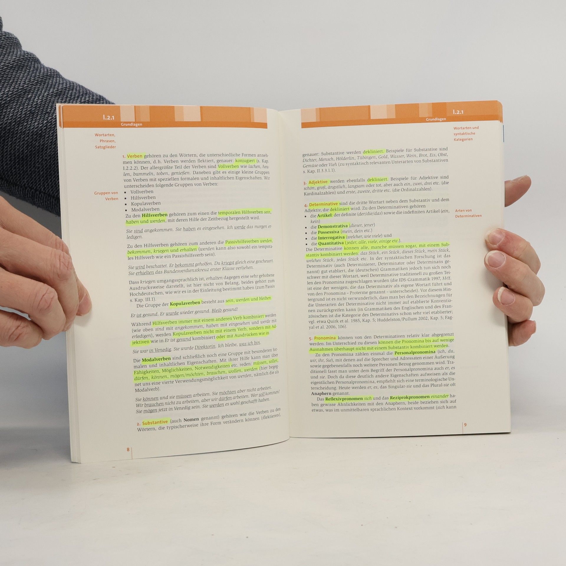 Jürgen Pafel Einführung in die Syntax