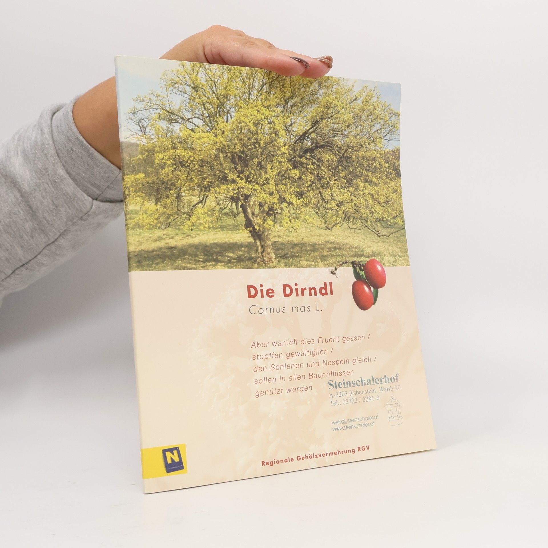 Georg Schramayr Die Dirndl