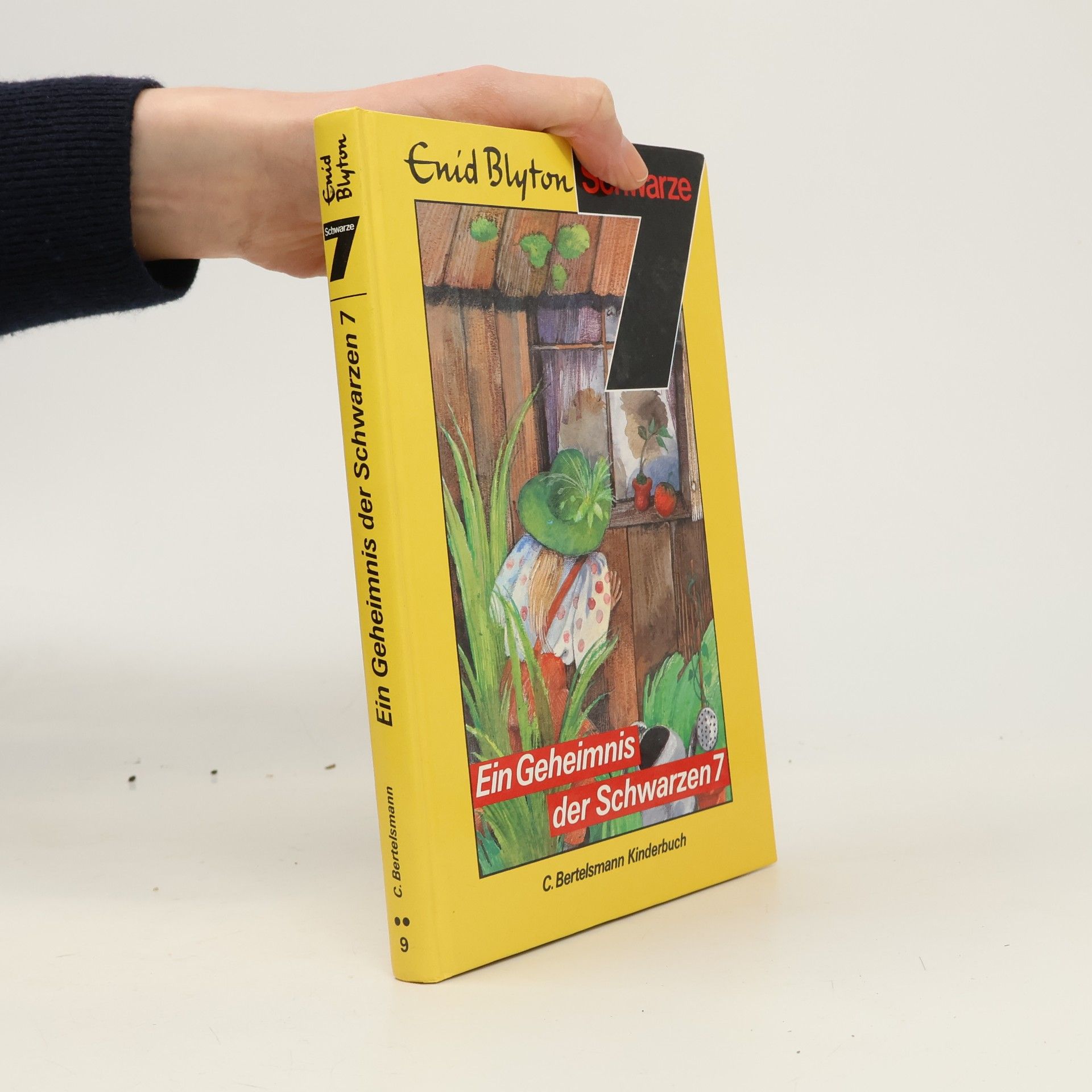 Enid Blyton Ein Geheimnis der Schwarzen 7