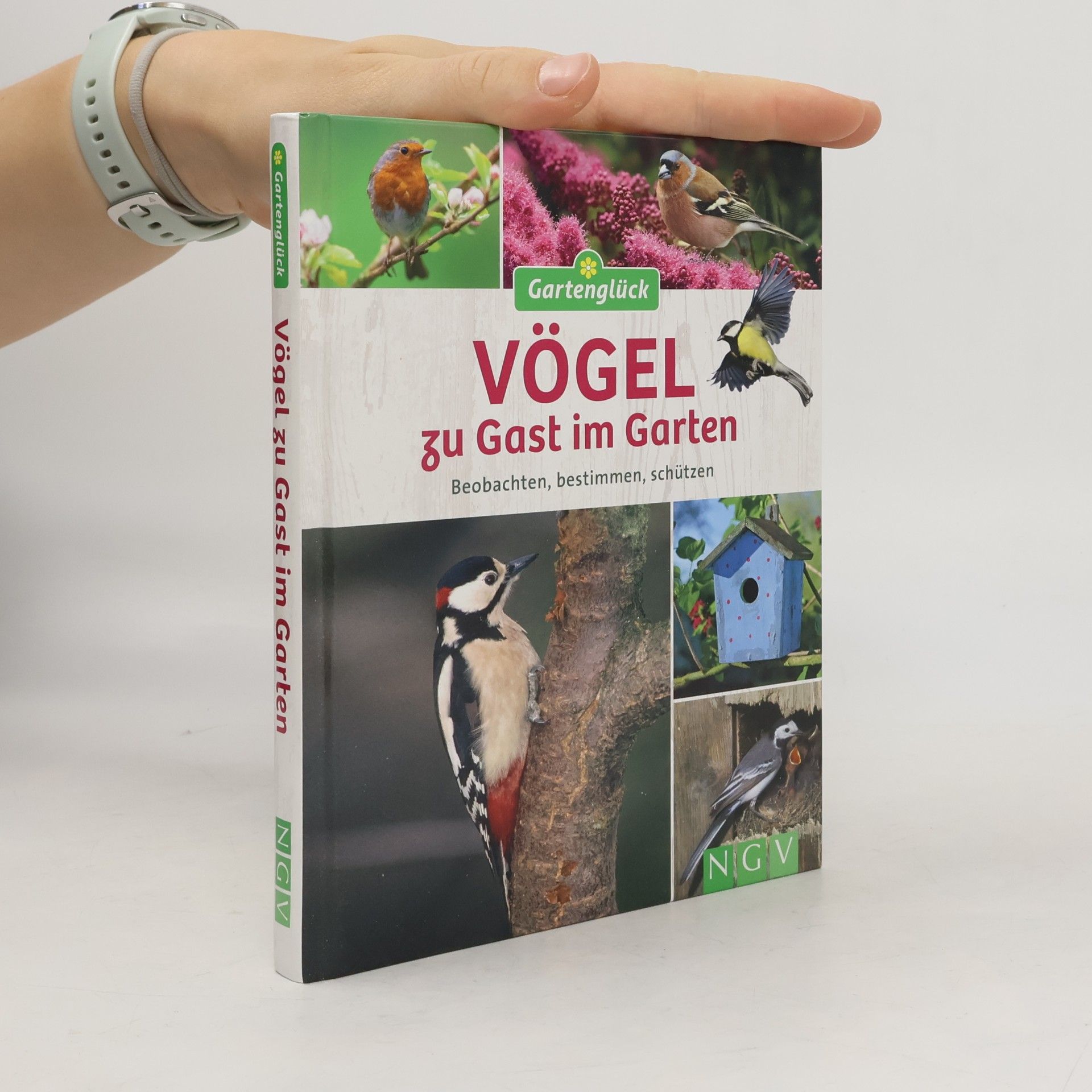 Vögel zu Gast im Garten