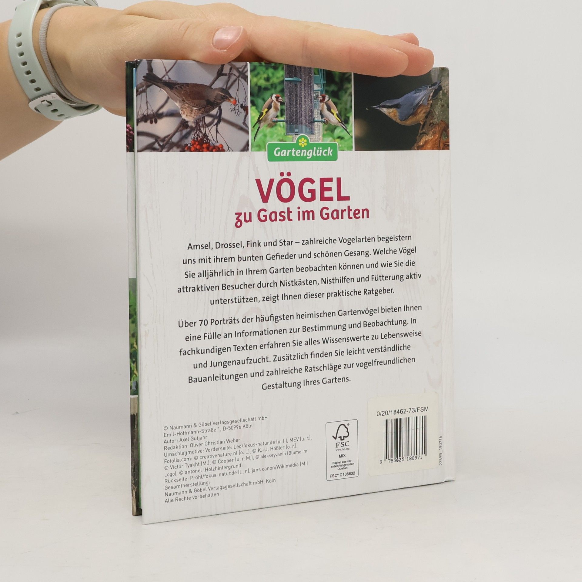 Axel Gutjahr Vögel zu Gast im Garten