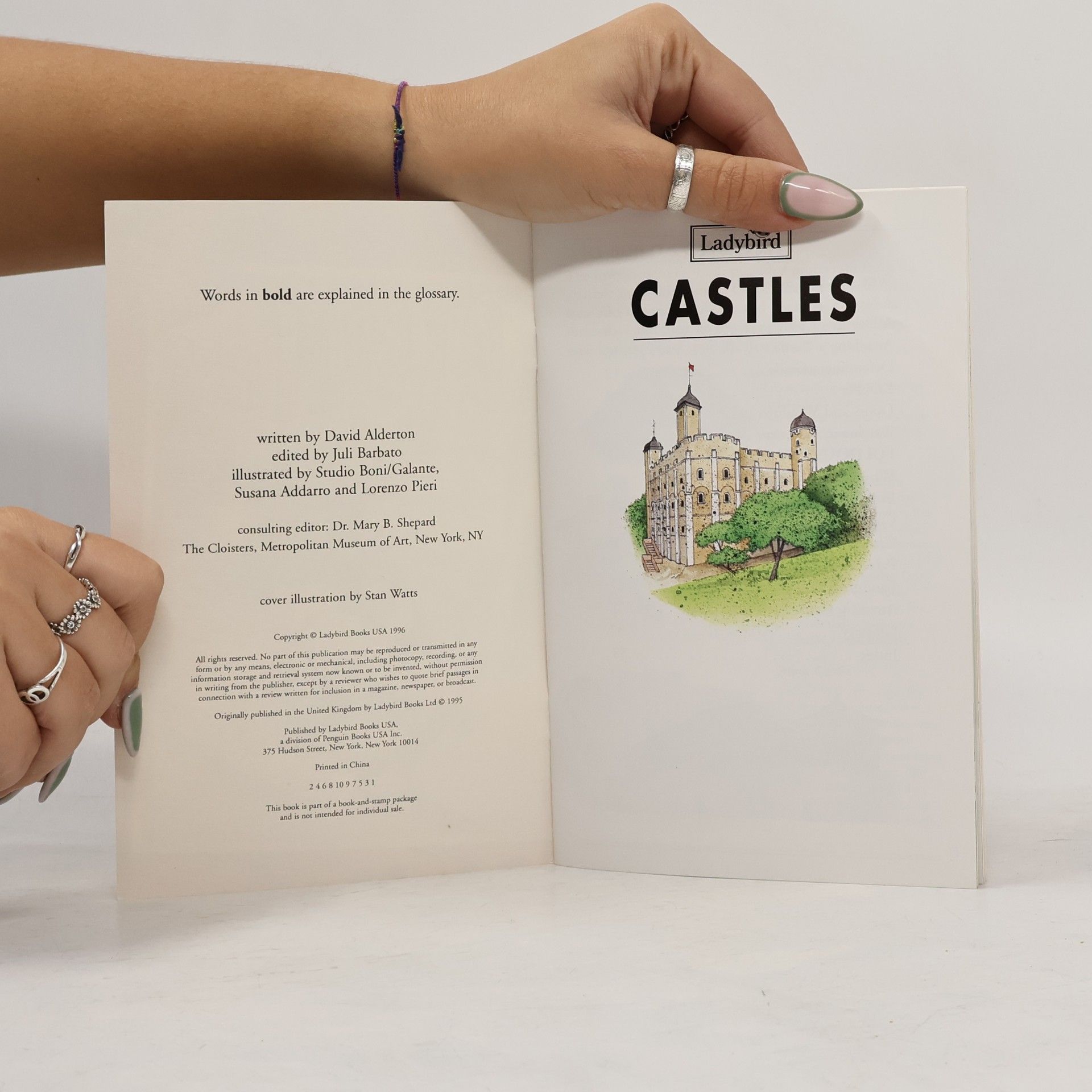 David Alderton Castles