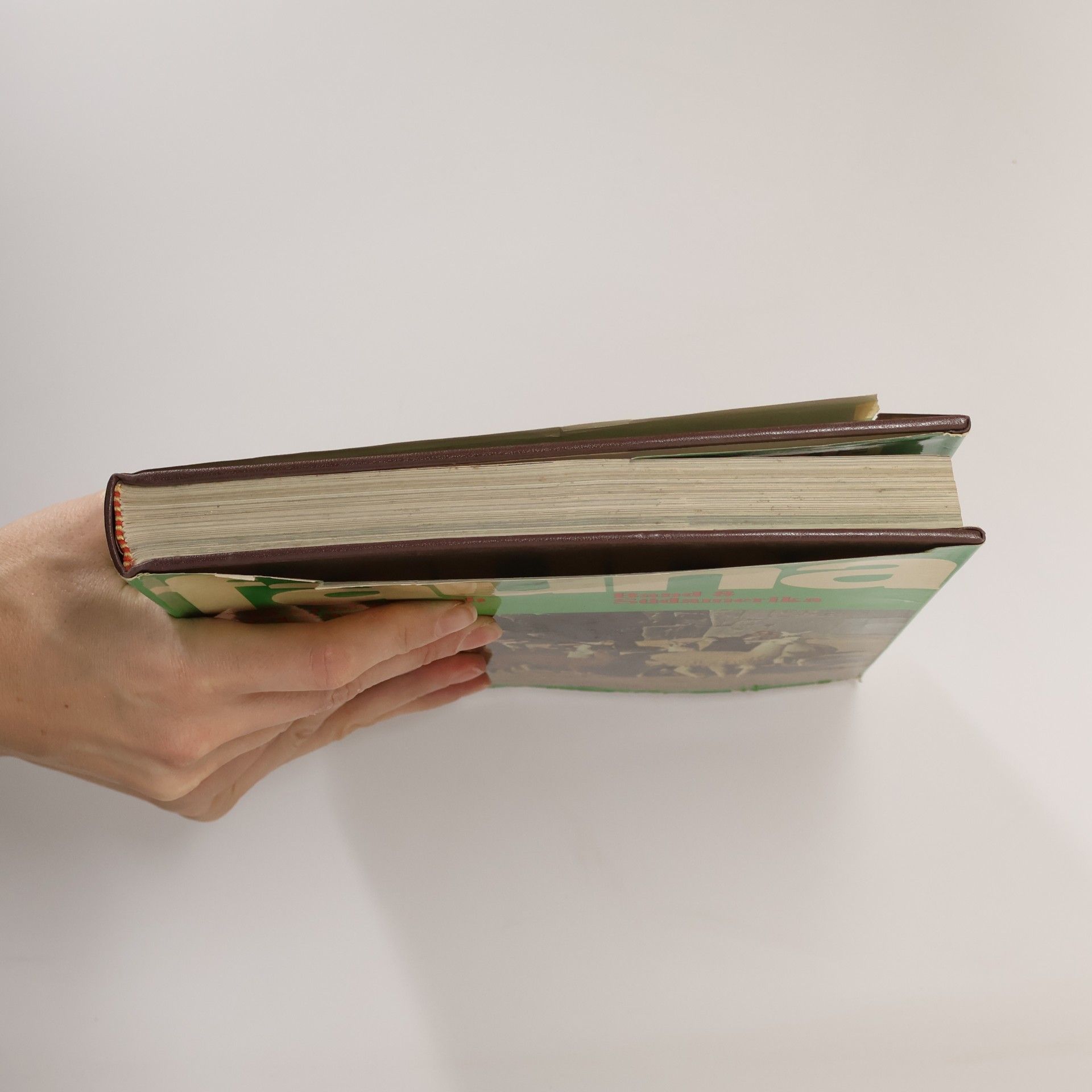 Autorenkollektiv Fauna. Das große Buch über das Leben der Tiere. Band 8 Südamerika