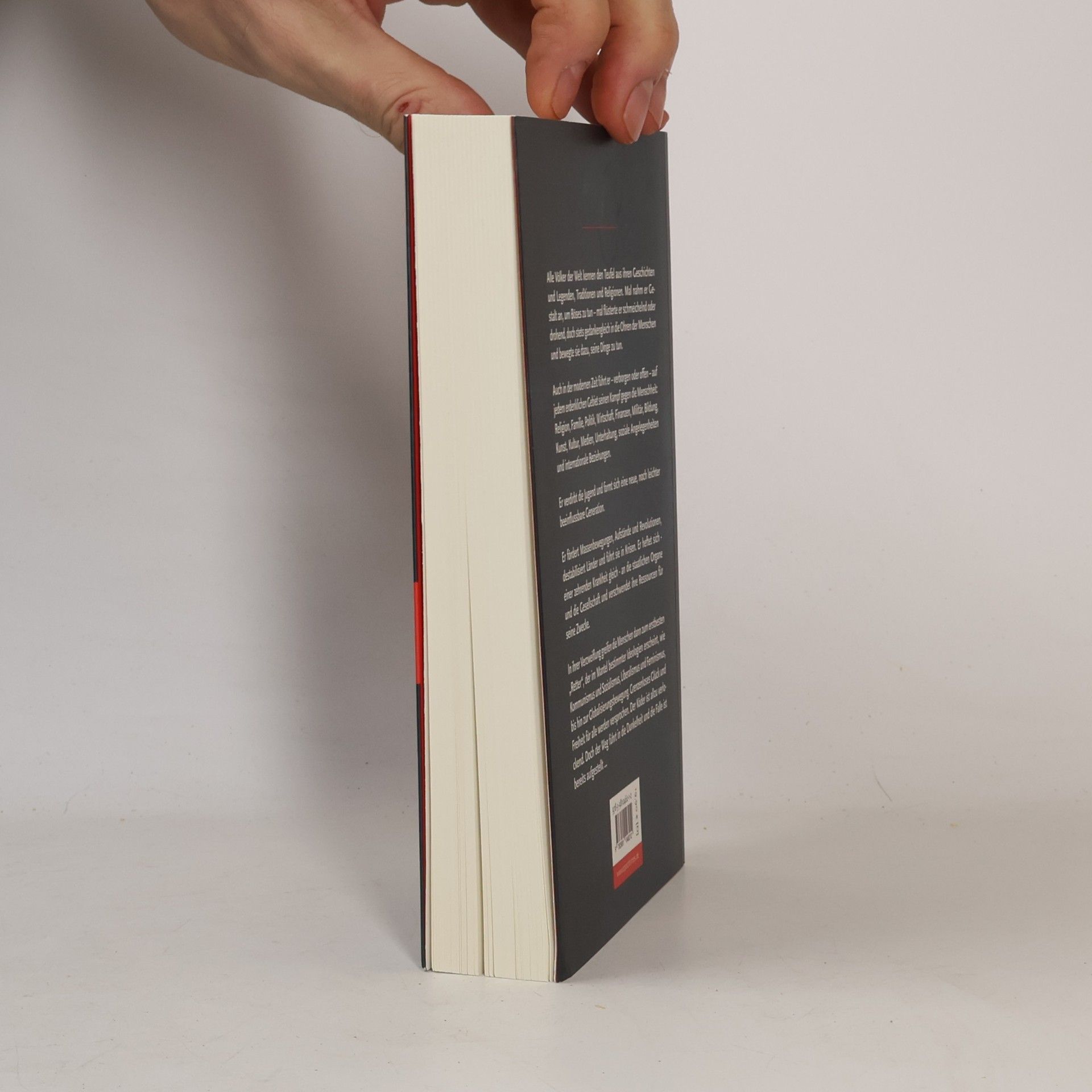 Autorenkollektiv Wie der Teufel die Welt beherrscht (Band 1)