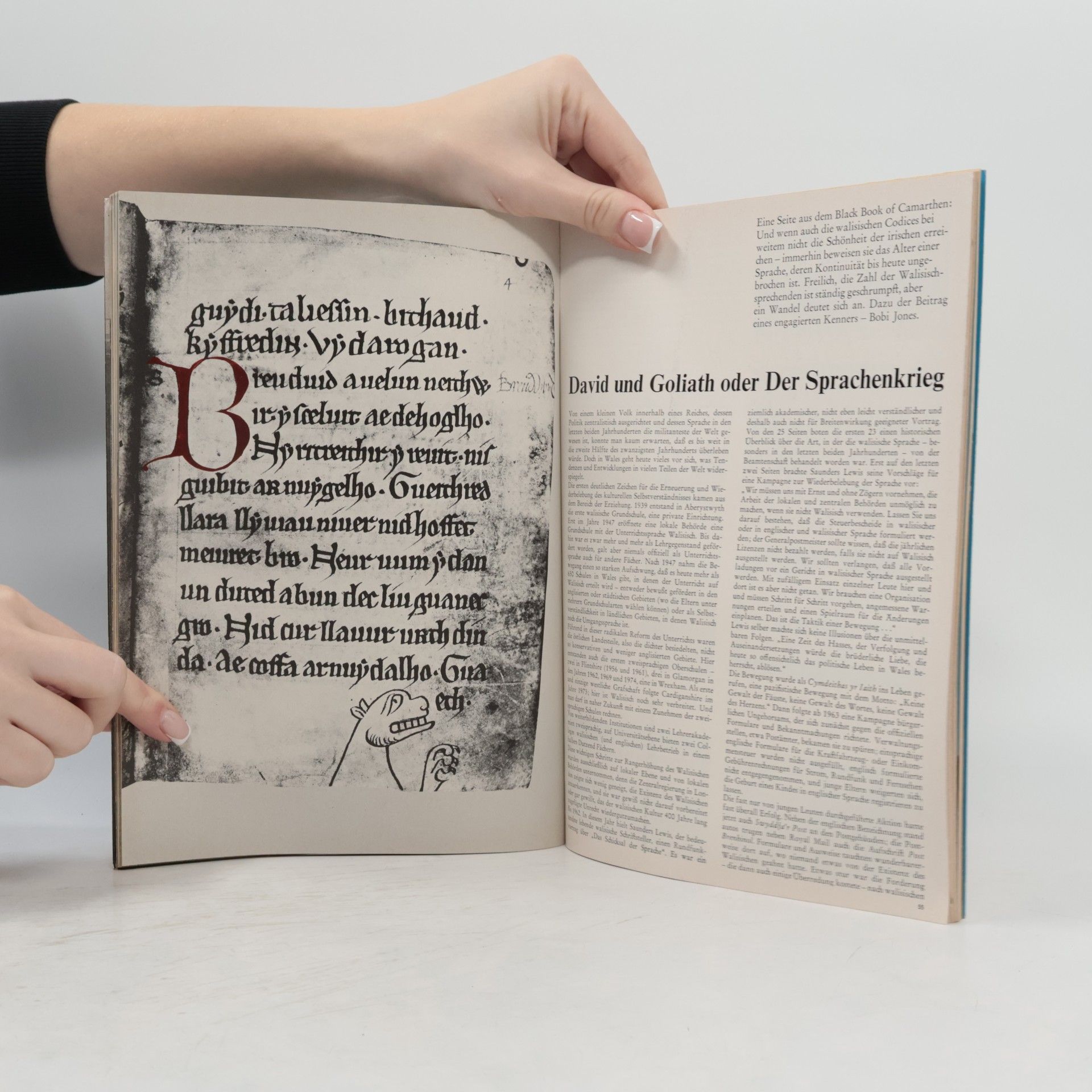 Autorenkollektiv MERIAN